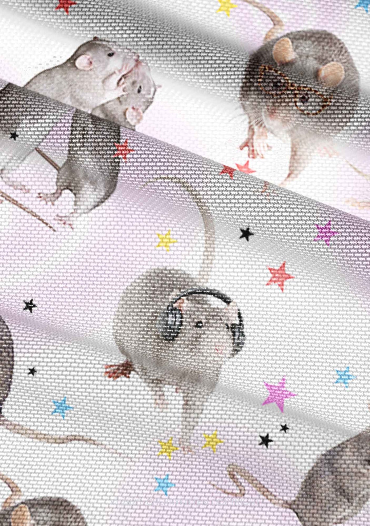 Cute Rats Y2K Mesh Ruched Waist V Neck Top Cherrykitten