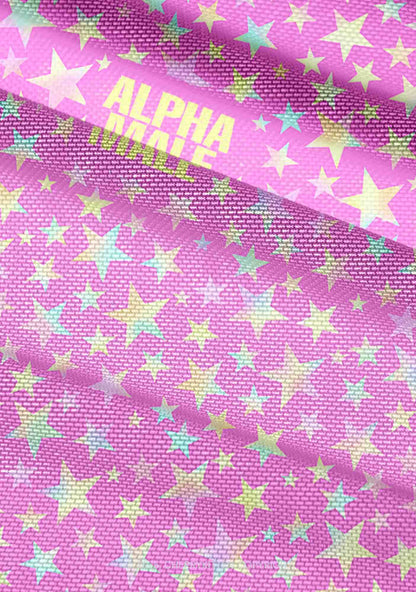 Hot Pink Alpha Male Pride Y2K Mesh Ruched  Waist  V Neck Top Cherrykitten