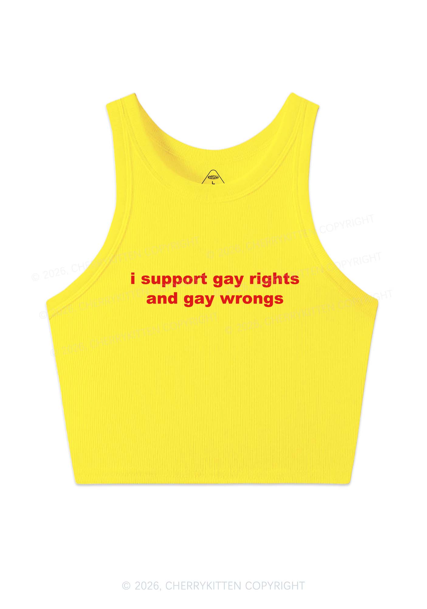Support Gay Rights Y2K Crop Tank Top Cherrykitten