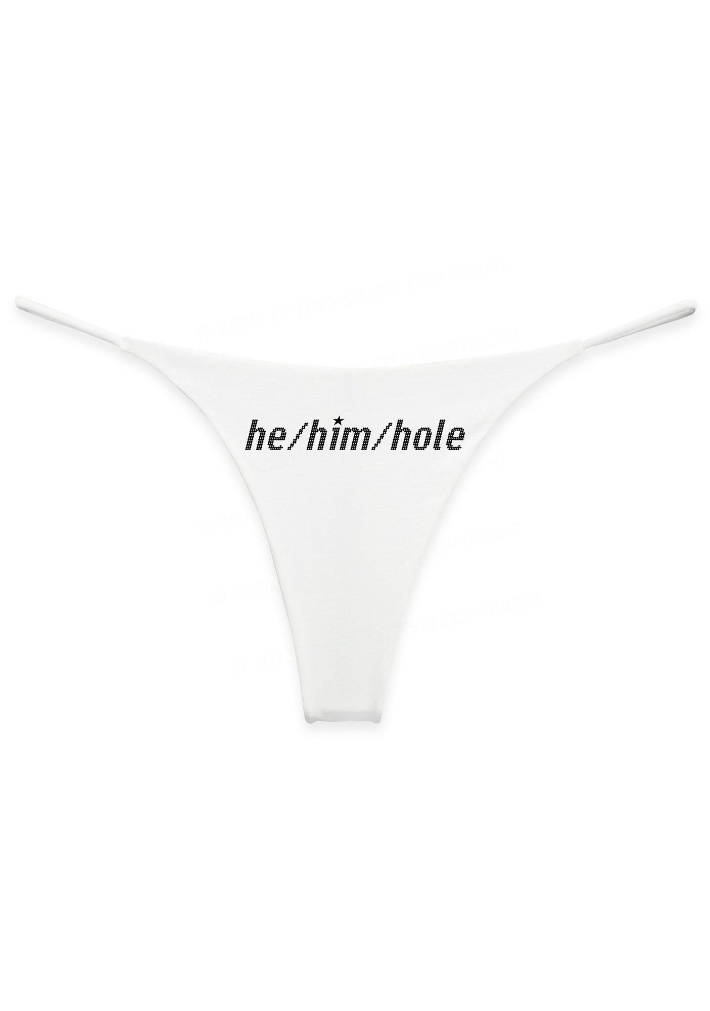 He Him Hole Pride Y2K Bikini String Thong Cherrykitten