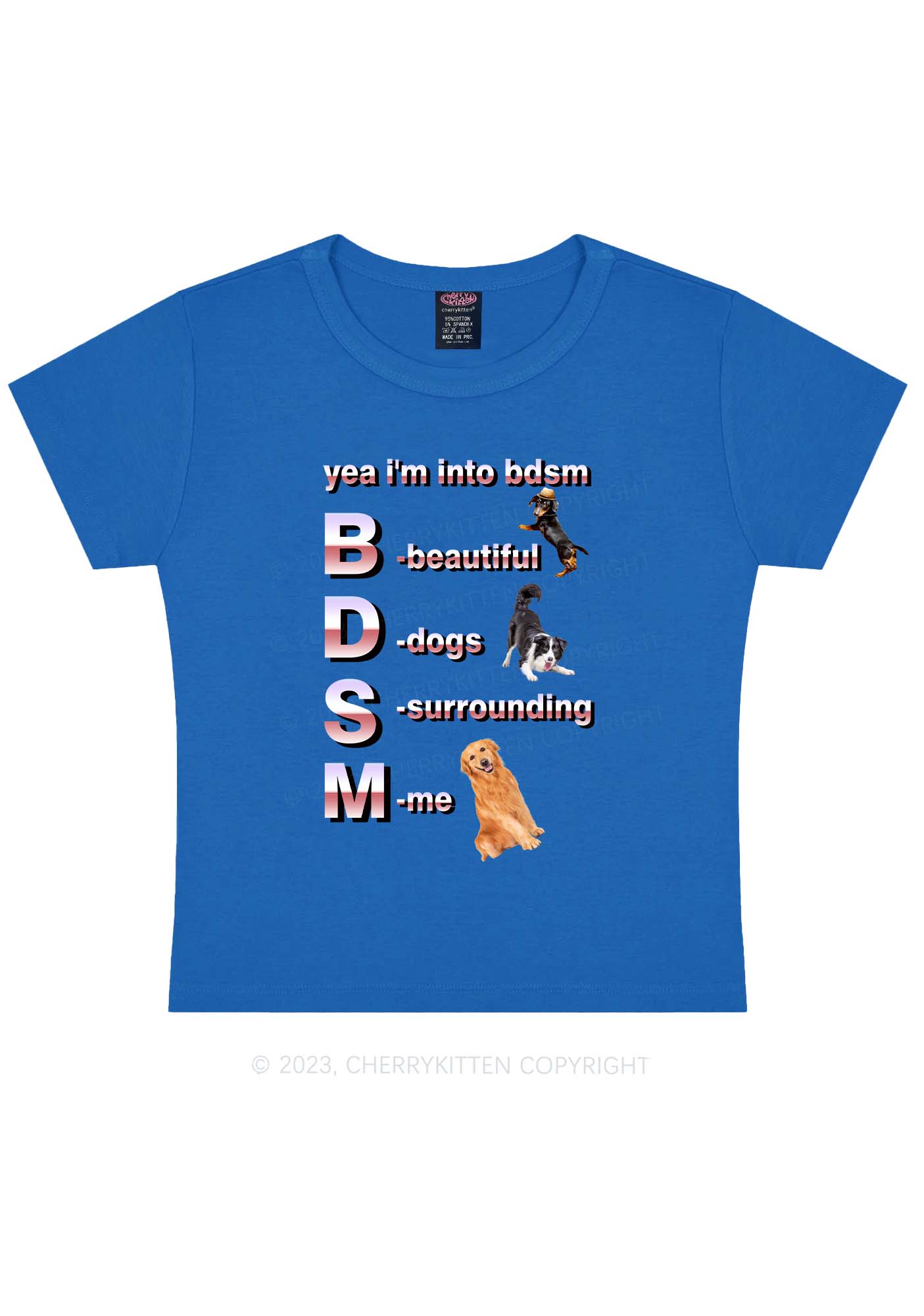 Yea I'm Into BDSM Y2K Baby Tee Cherrykitten