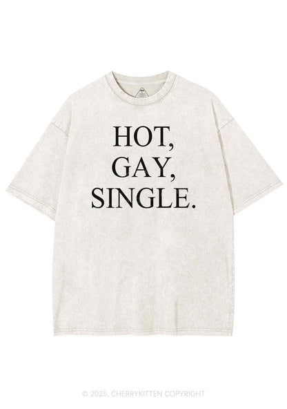 Hot Gay Single Pride Y2K Shirts Washed Tee Cherrykitten