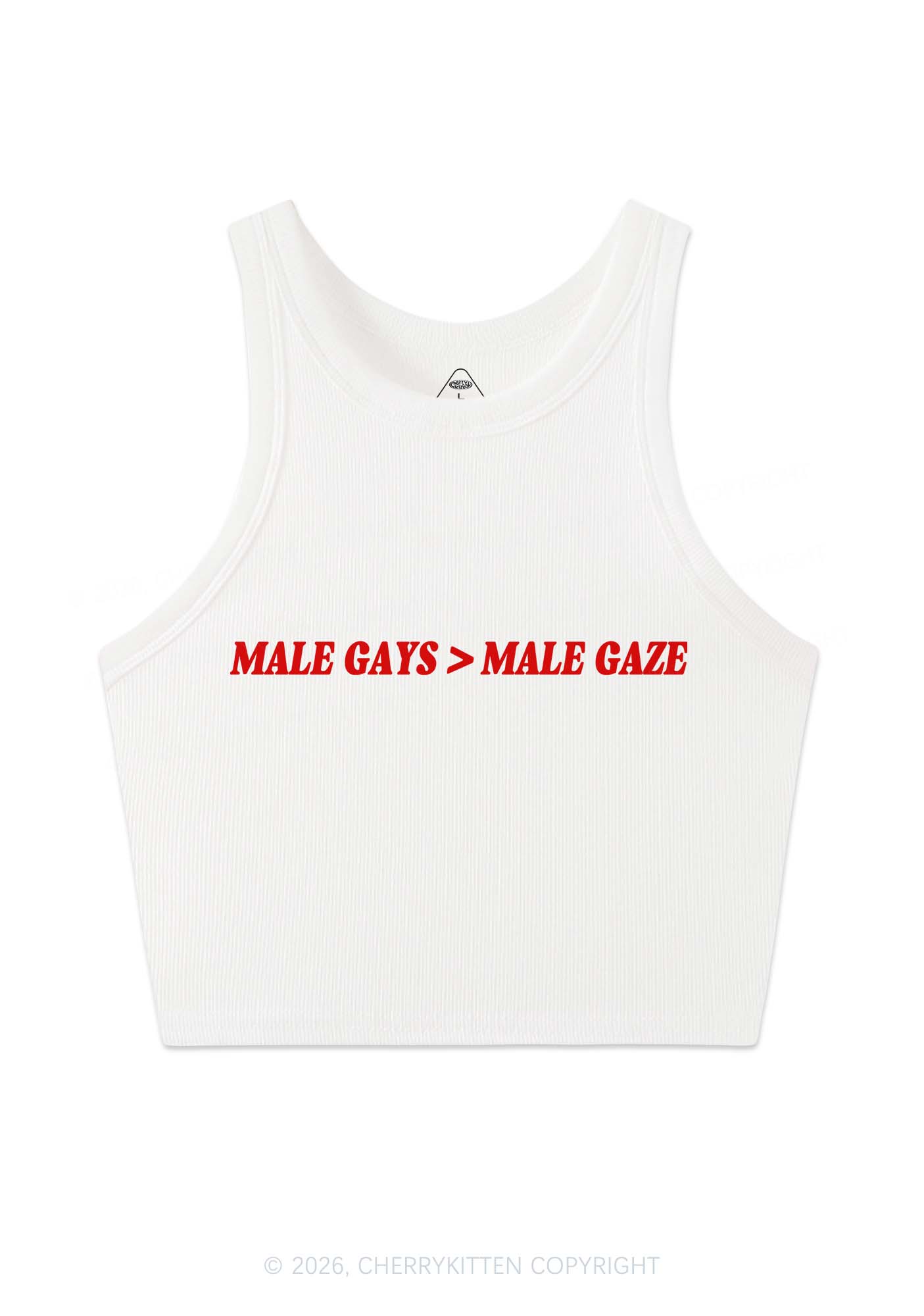 Male Gays Male Gaze Pride Y2K Crop Tank Top Cherrykitten