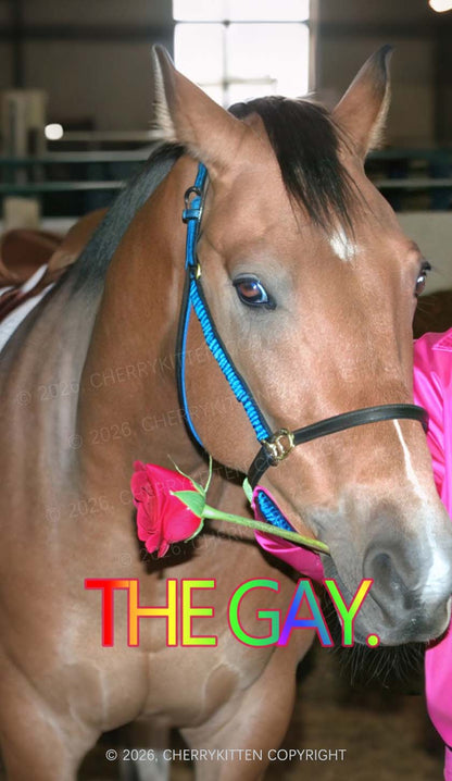 The Gay Horse Y2K Phone Case Cherrykitten