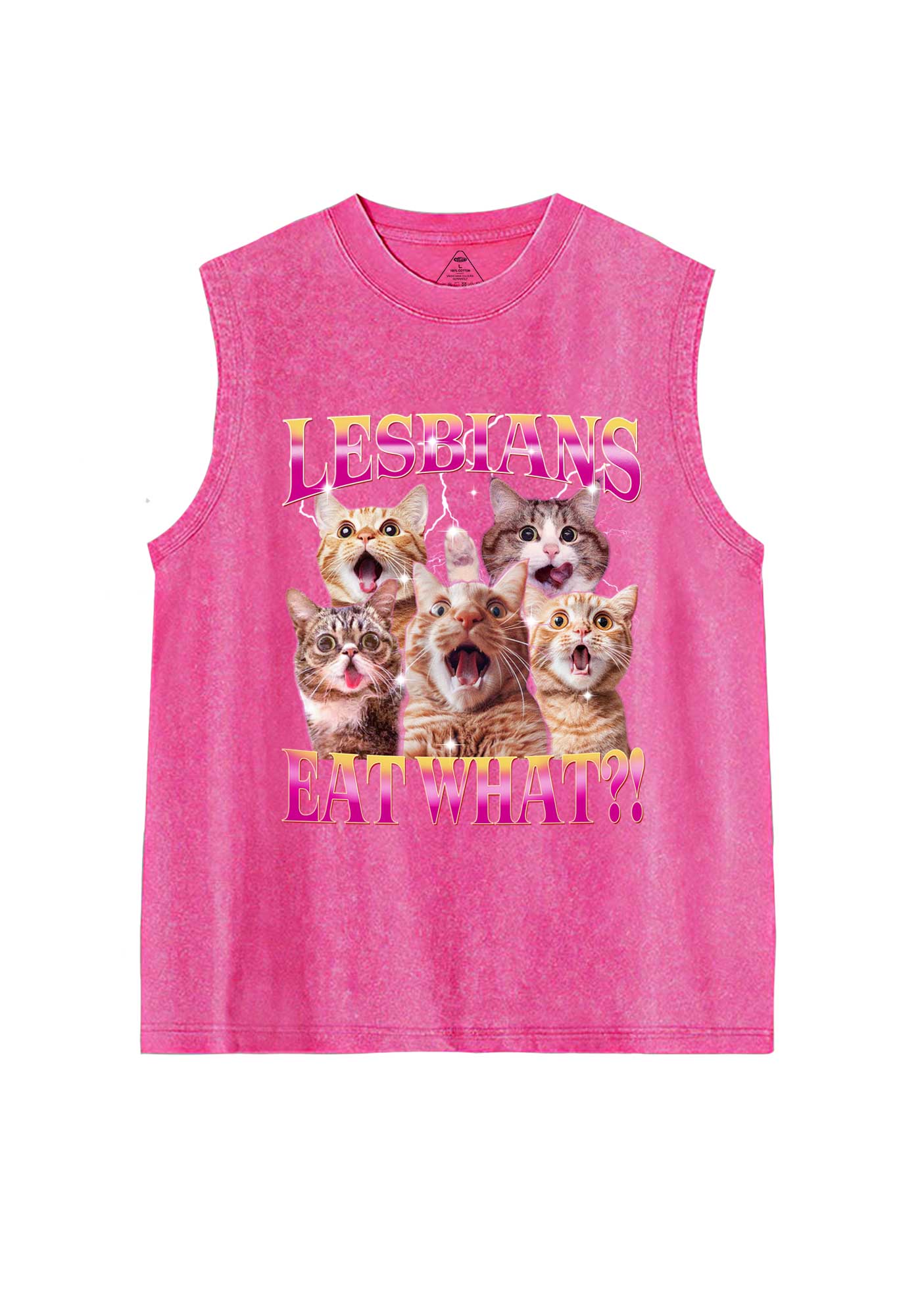 Funny Lesbian Cat Pride Y2K Washed Muscle Tank Cherrykitten