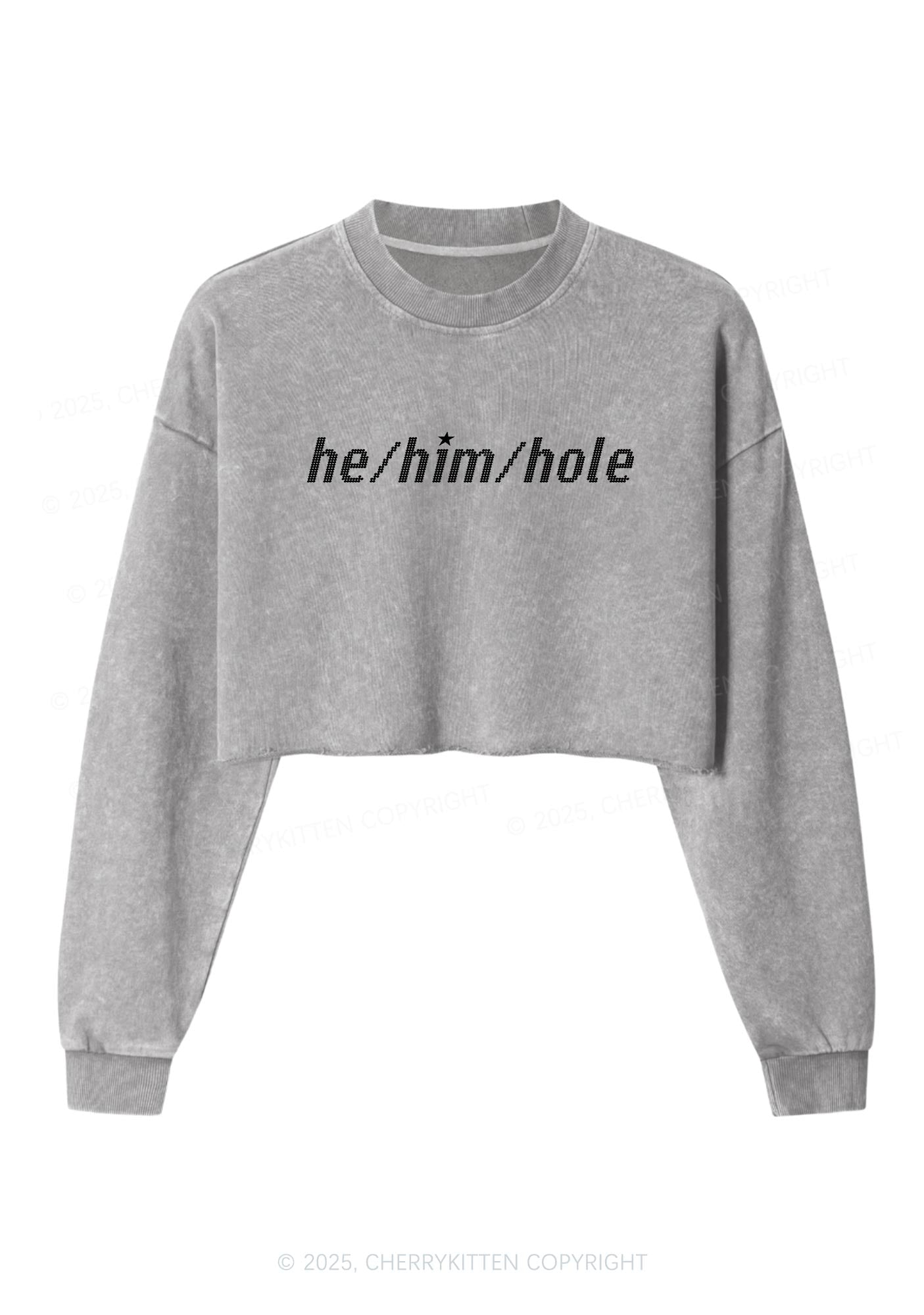 He Him Hole Pride Y2K Crop Washed Sweatshirts Cherrykitten