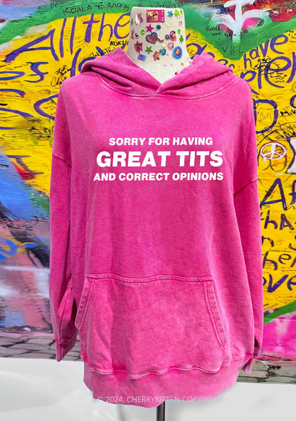Sorry For Having Correct Opinions Y2K Washed Hoodie Cherrykitten