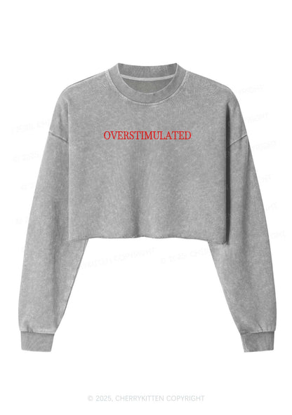 Embroidered Overstimulated Y2K Crop Washed Sweatshirts Cherrykitten