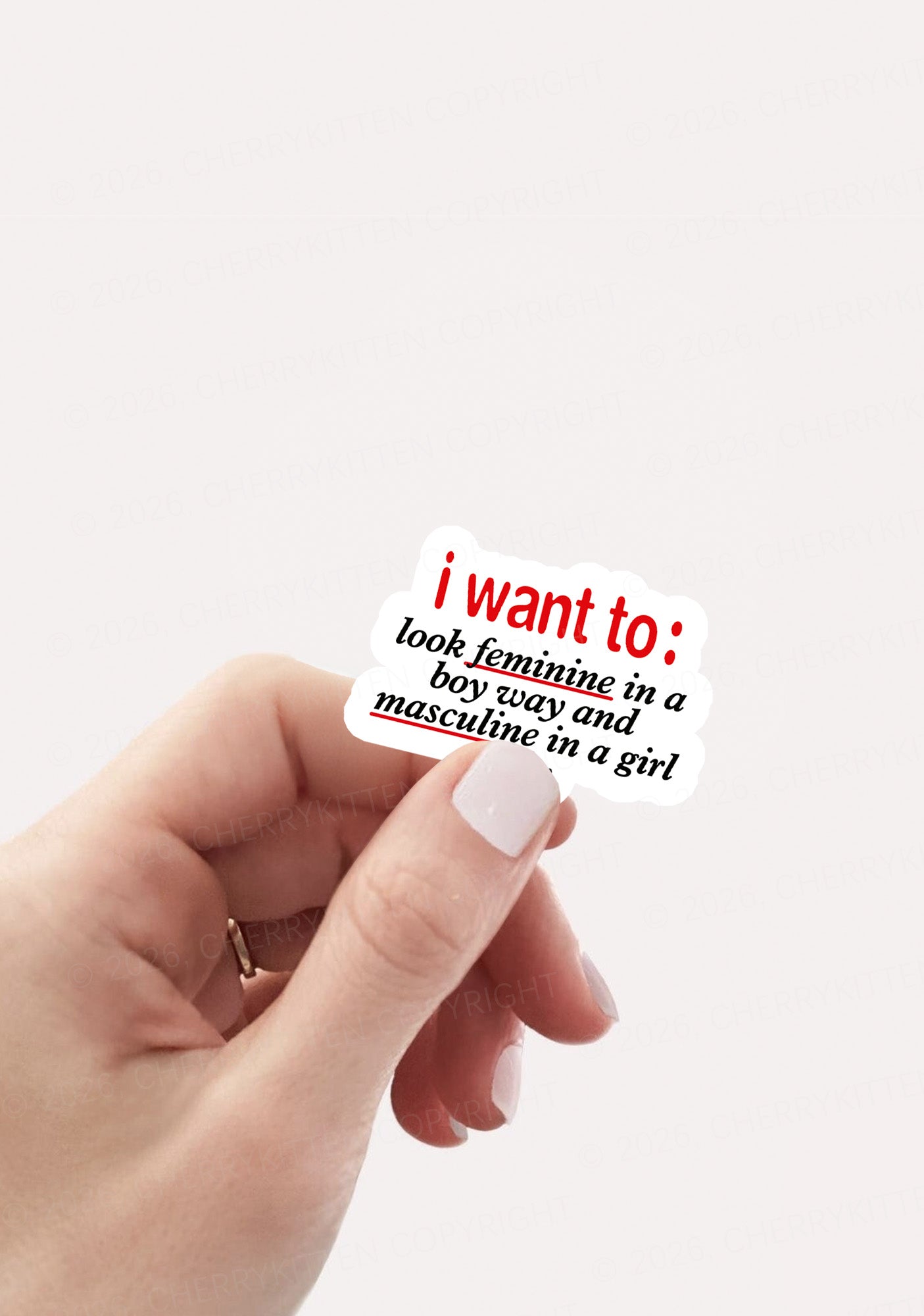 I Want To Feminine Masculine Pride 1pc Y2K Sticker Cherrykitten