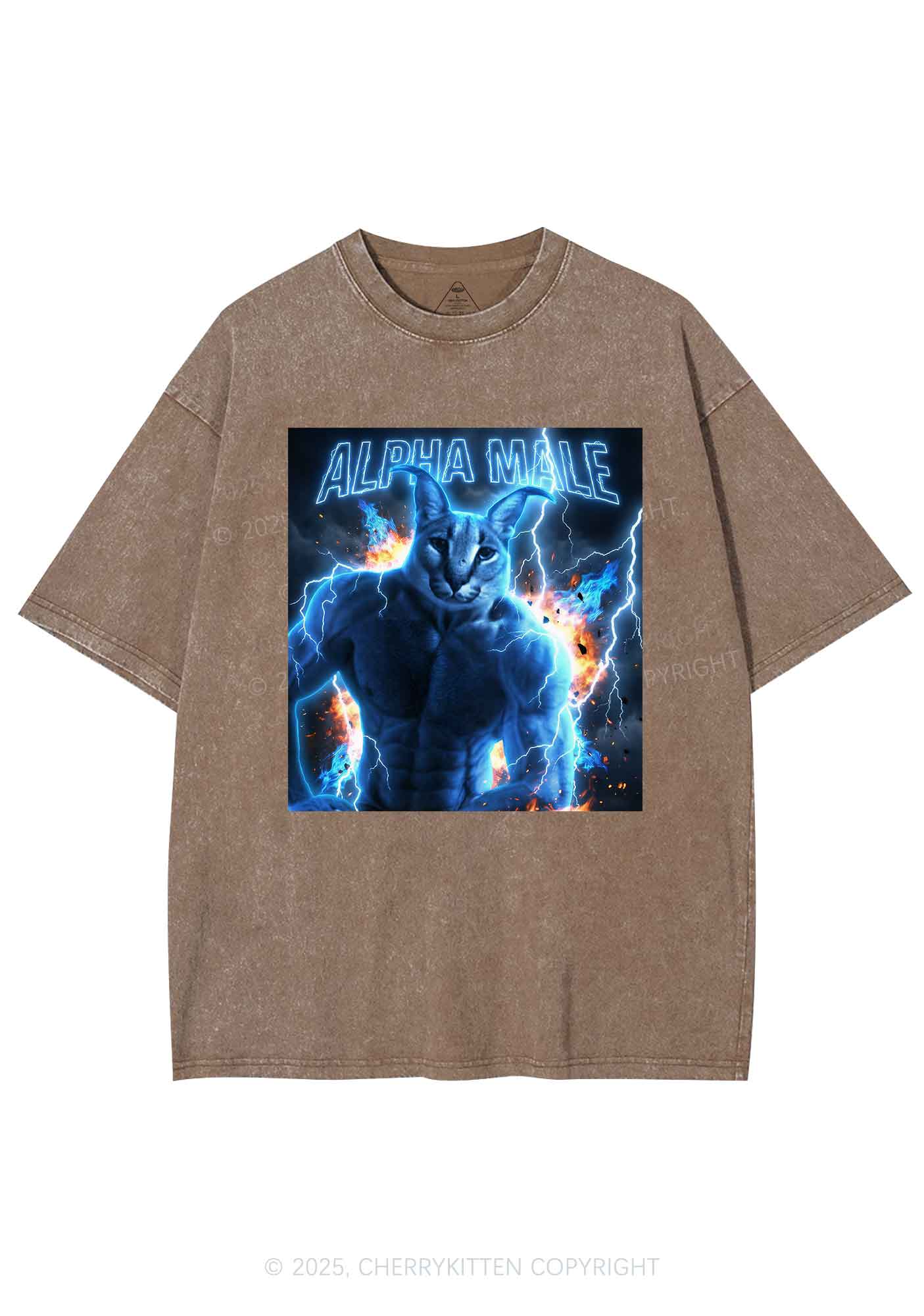 Alpha Male Floppa Y2K Shirts Washed Tee Cherrykitten