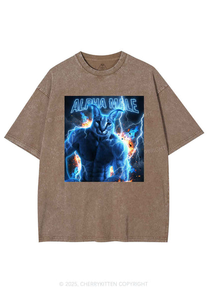 Alpha Male Floppa Y2K Shirts Washed Tee Cherrykitten