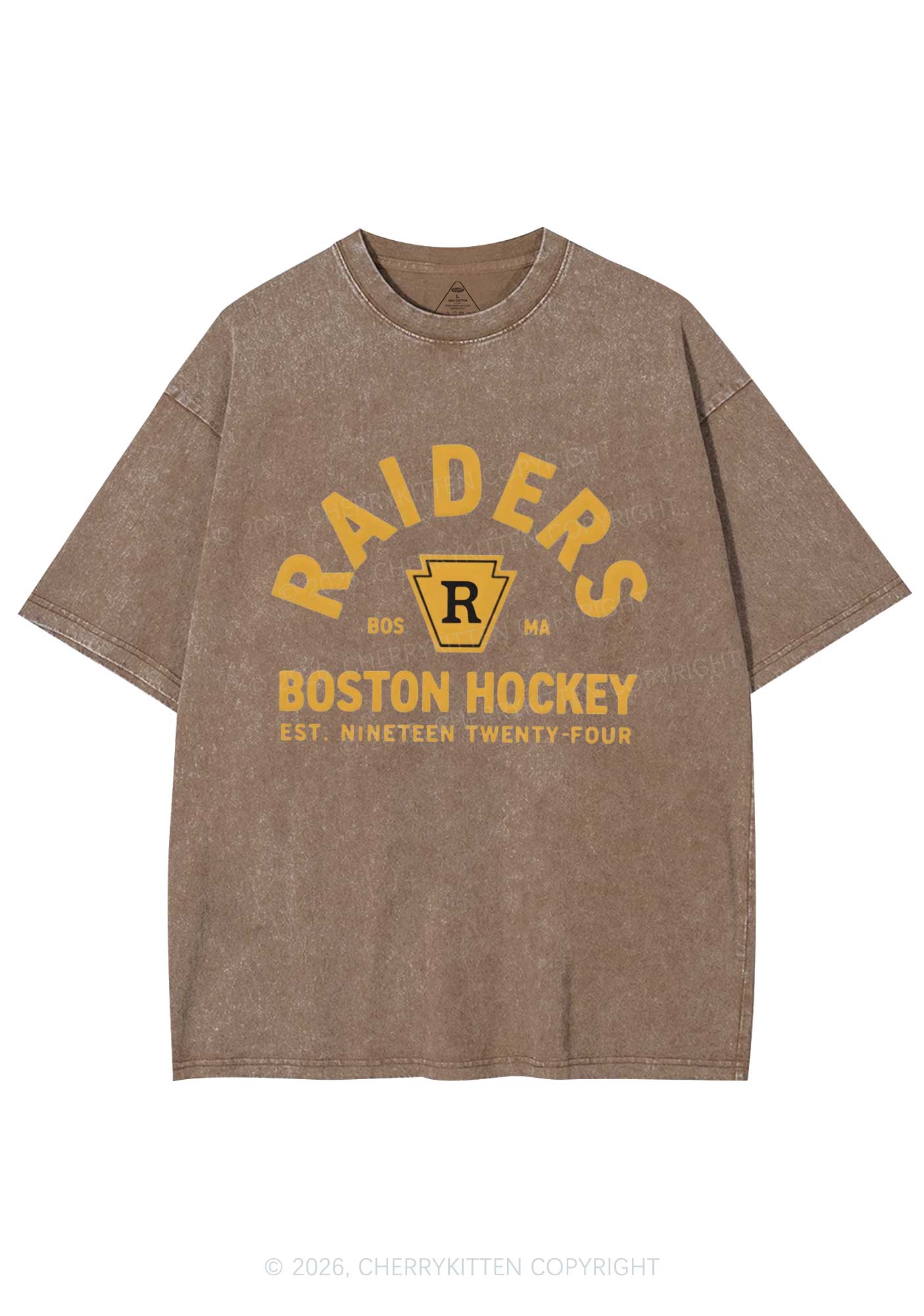 Boston Hockey HR Y2K Shirts Washed Tee Cherrykitten