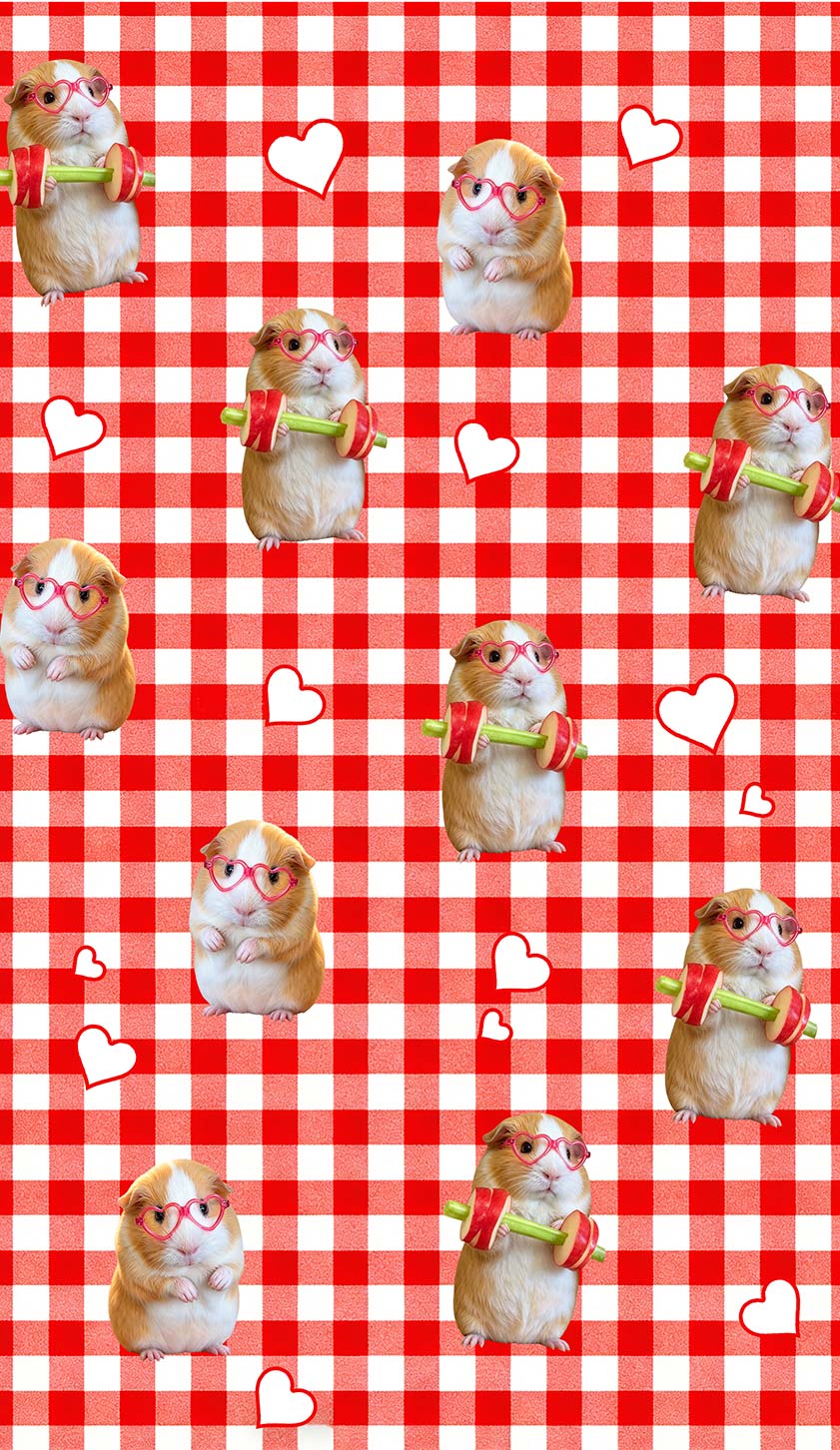 Gym Guinea Pig Red Plaid Y2K Phone Case Cherrykitten
