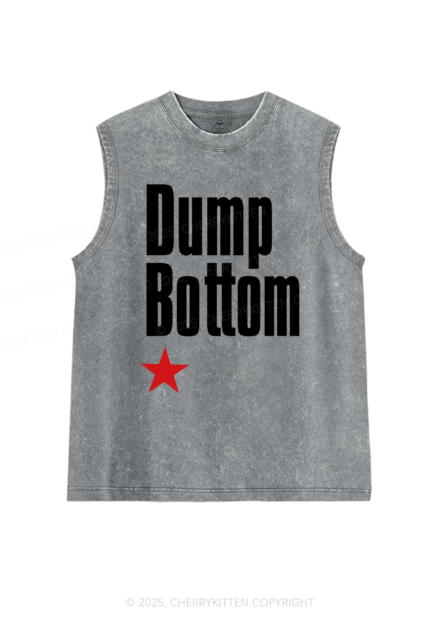 Dump Bottom Pride Y2K Washed Muscle Tank Cherrykitten