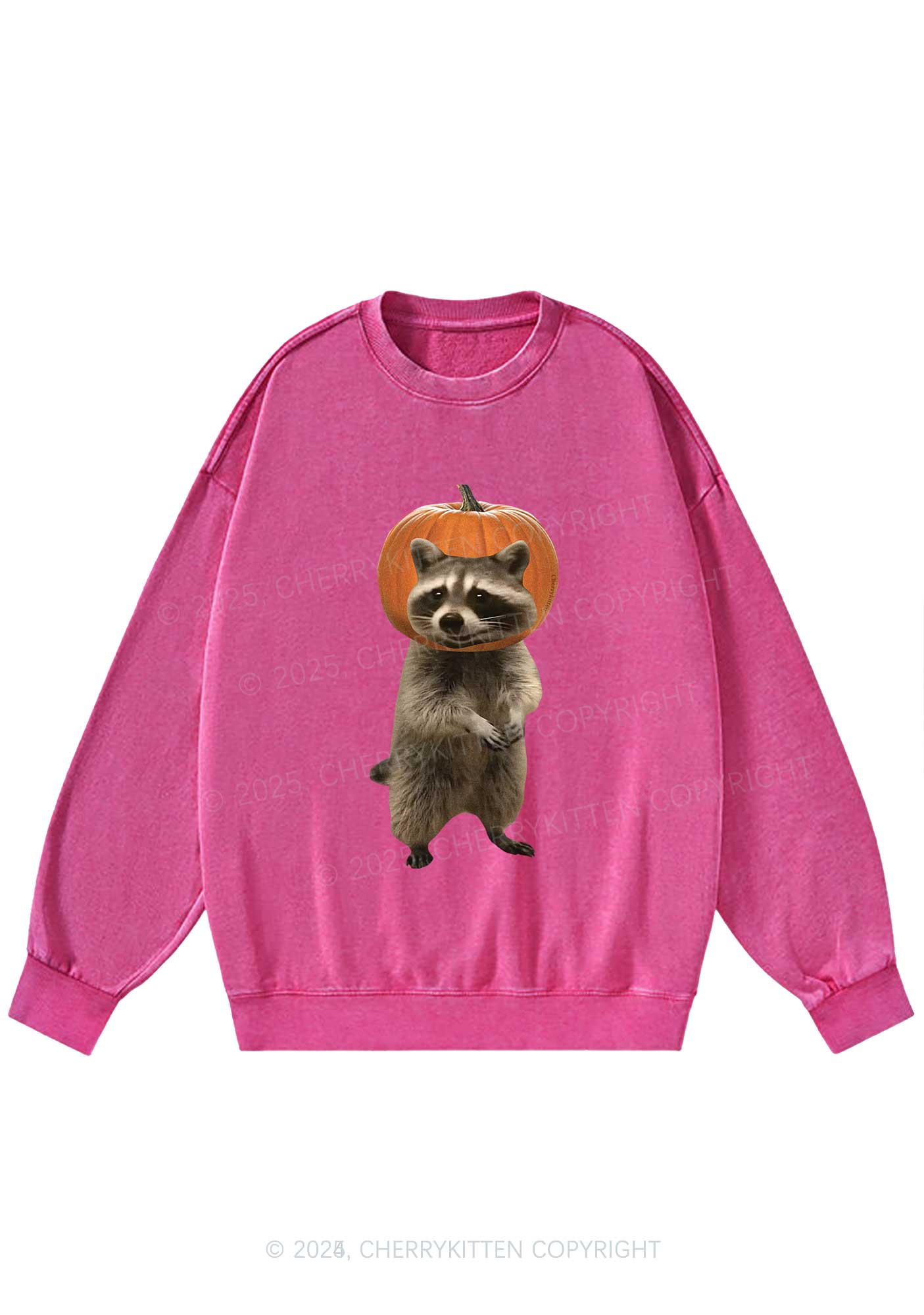Halloween Silly Raccoon Y2K Washed Sweatshirts Cherrykitten