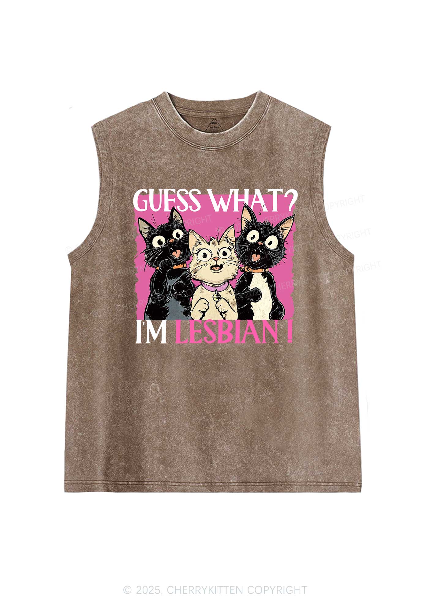 Im Lesbian Cat Pride Y2K Washed Muscle Tank Cherrykitten