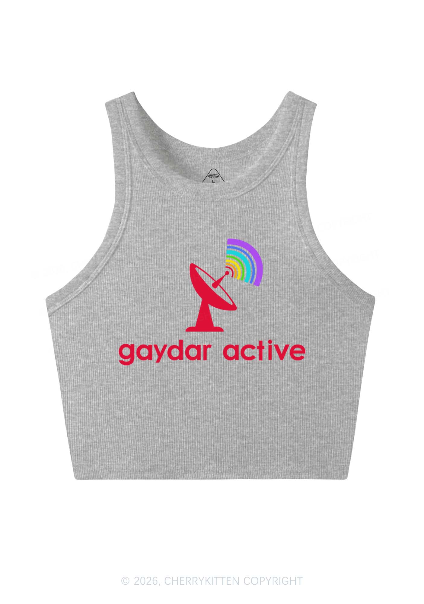 Gaydar Active Pride Y2K Crop Tank Top Cherrykitten