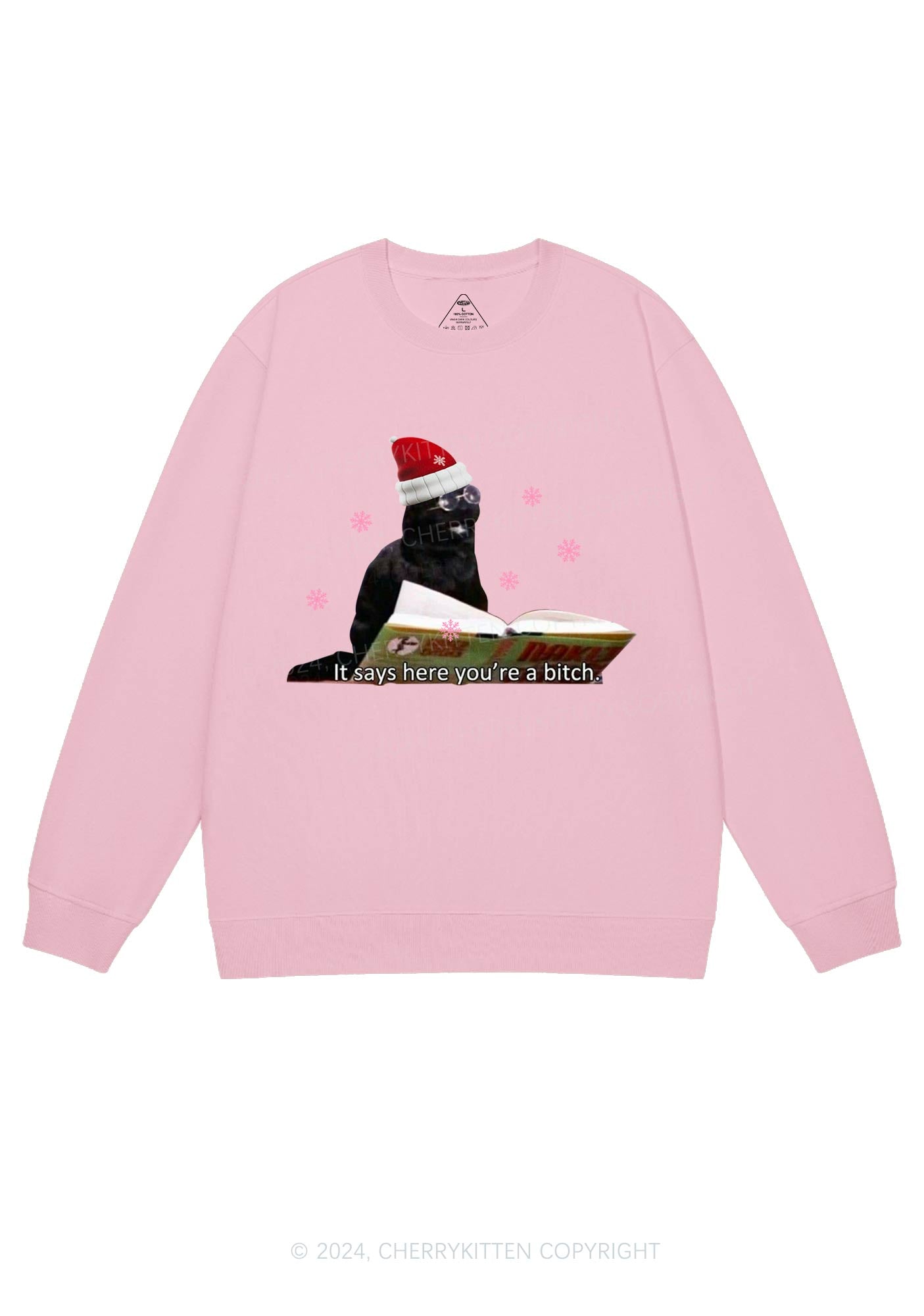 Christmas Cat Bxxch Y2K Sweatshirt Cherrykitten