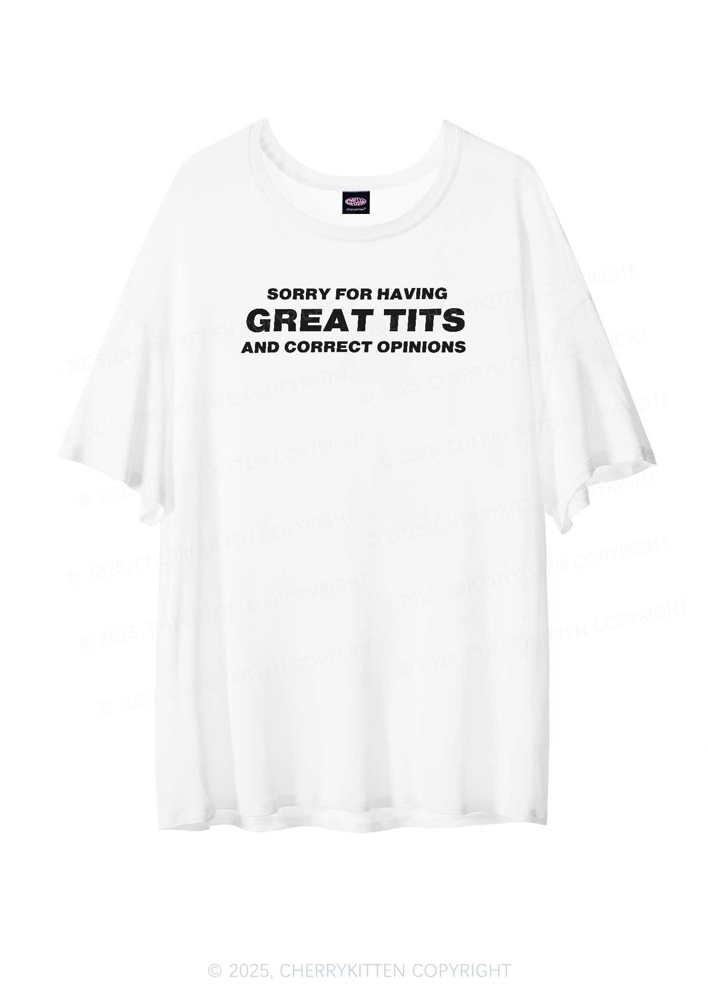 Sorry For Having Correct Opinions Y2K Sheer Boyfriend Tee Cherrykitten