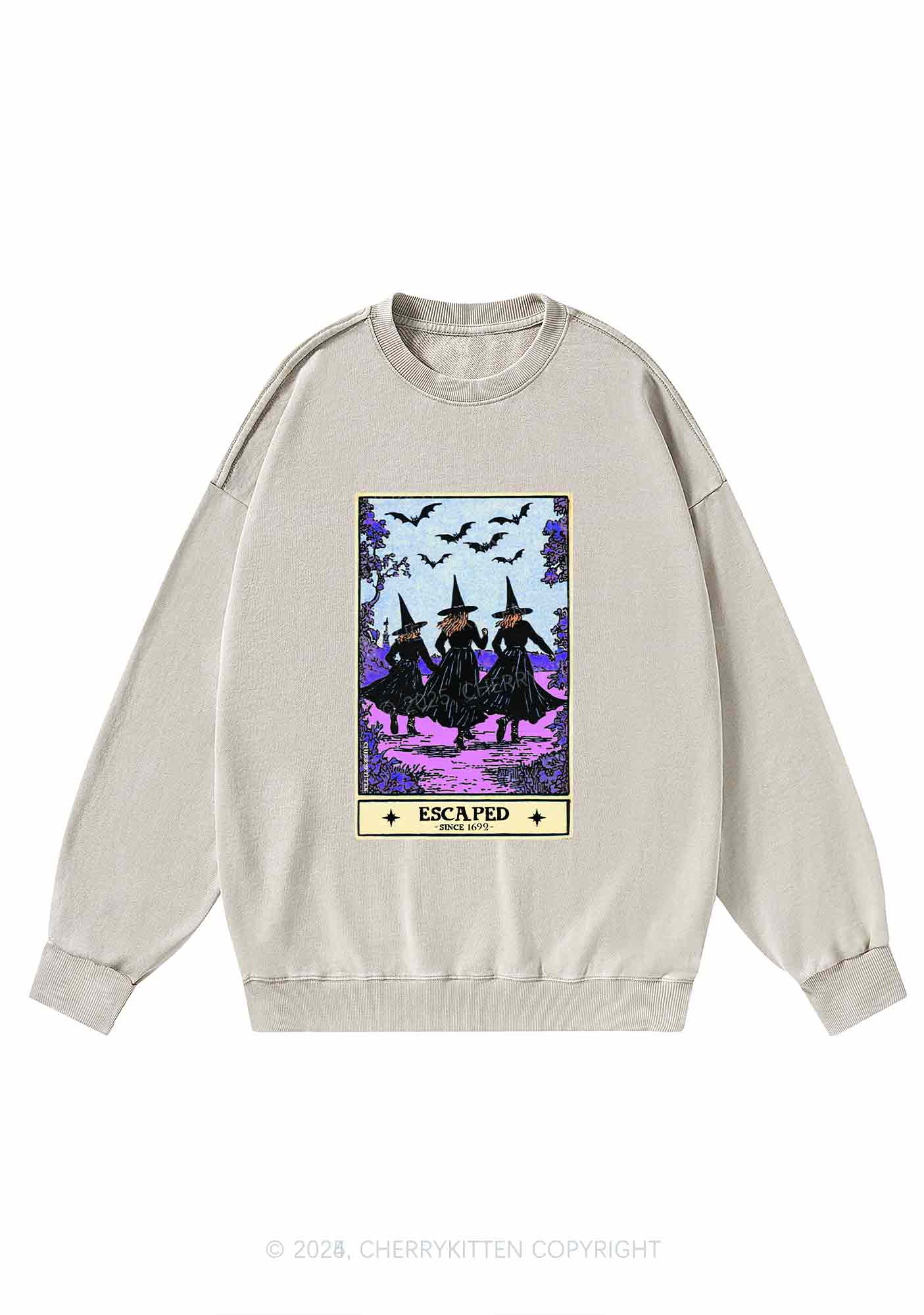 Halloween Escaped Witch Y2K Washed Sweatshirts Cherrykitten