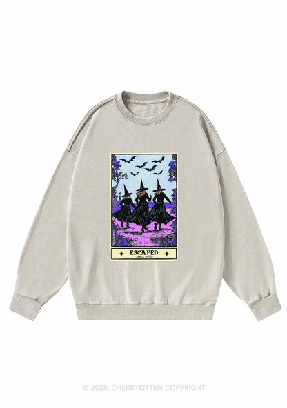 Halloween Escaped Witch Y2K Washed Sweatshirts Cherrykitten