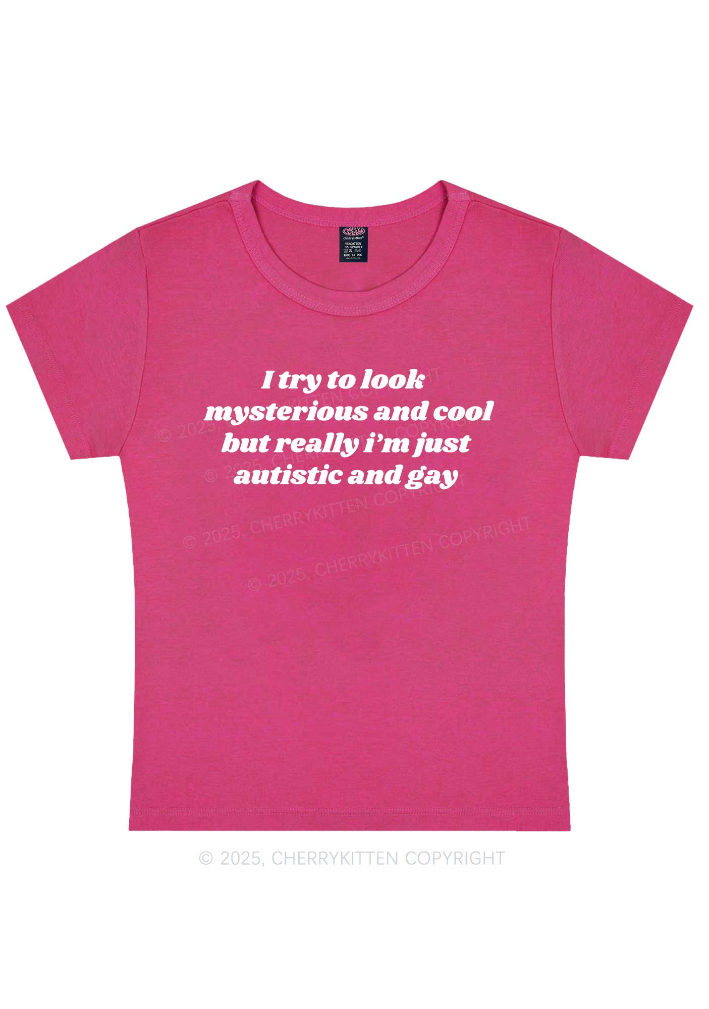Im Just Autistic And Gay Pride Y2K Baby Tee Cherrykitten