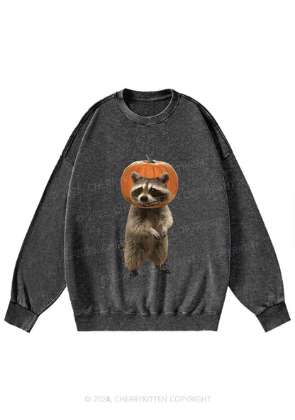 Halloween Silly Raccoon Y2K Washed Sweatshirts Cherrykitten