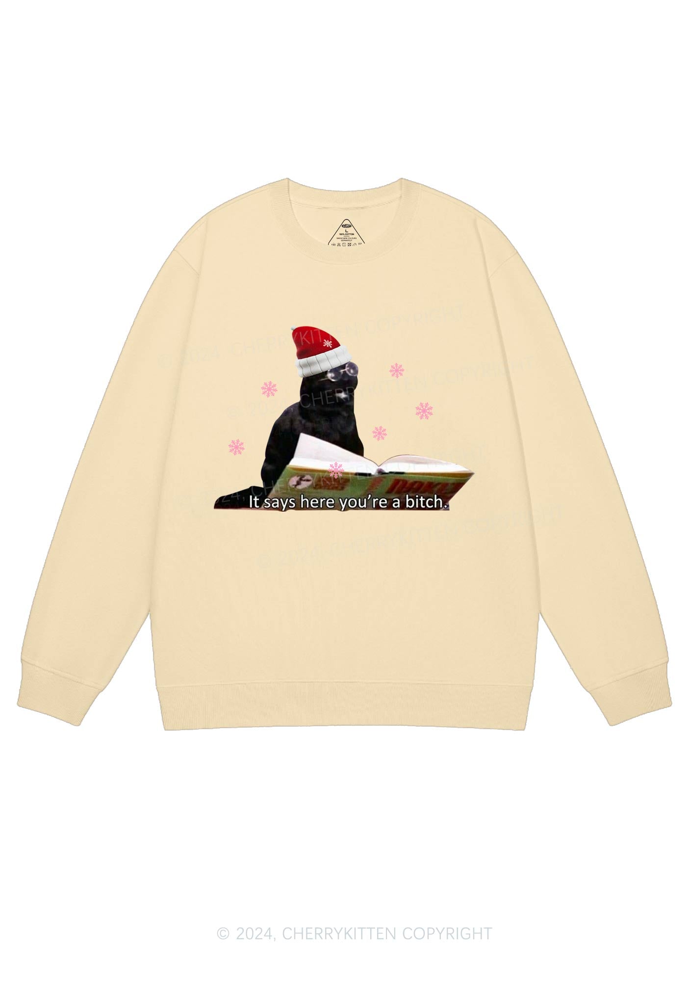 Christmas Cat Bxxch Y2K Sweatshirt Cherrykitten