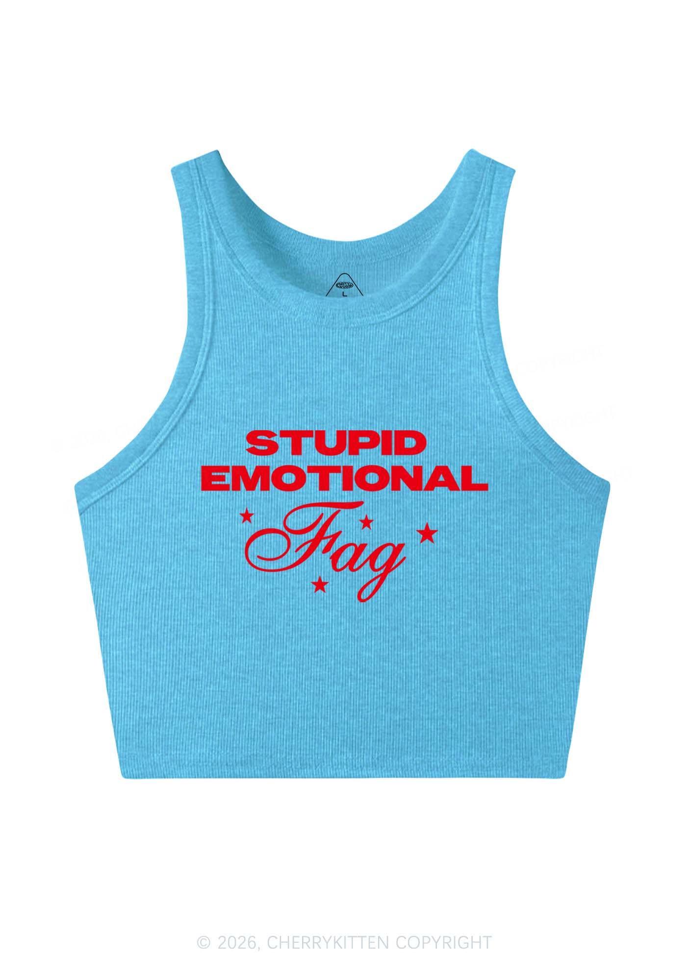 Stupid Emotional Fag Pride Y2K Crop Tank Top Cherrykitten