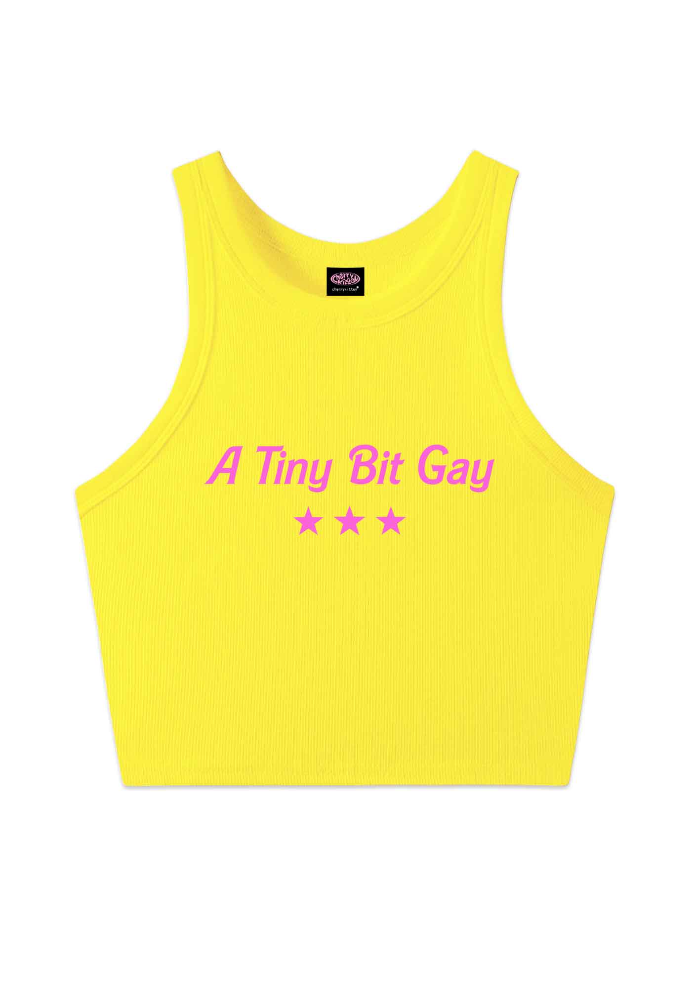 A Tiny Bit Gay Pride Y2K Crop Tank Top Cherrykitten