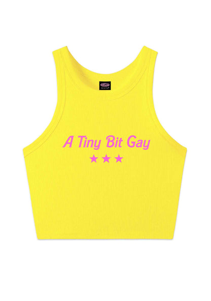 A Tiny Bit Gay Pride Y2K Crop Tank Top Cherrykitten