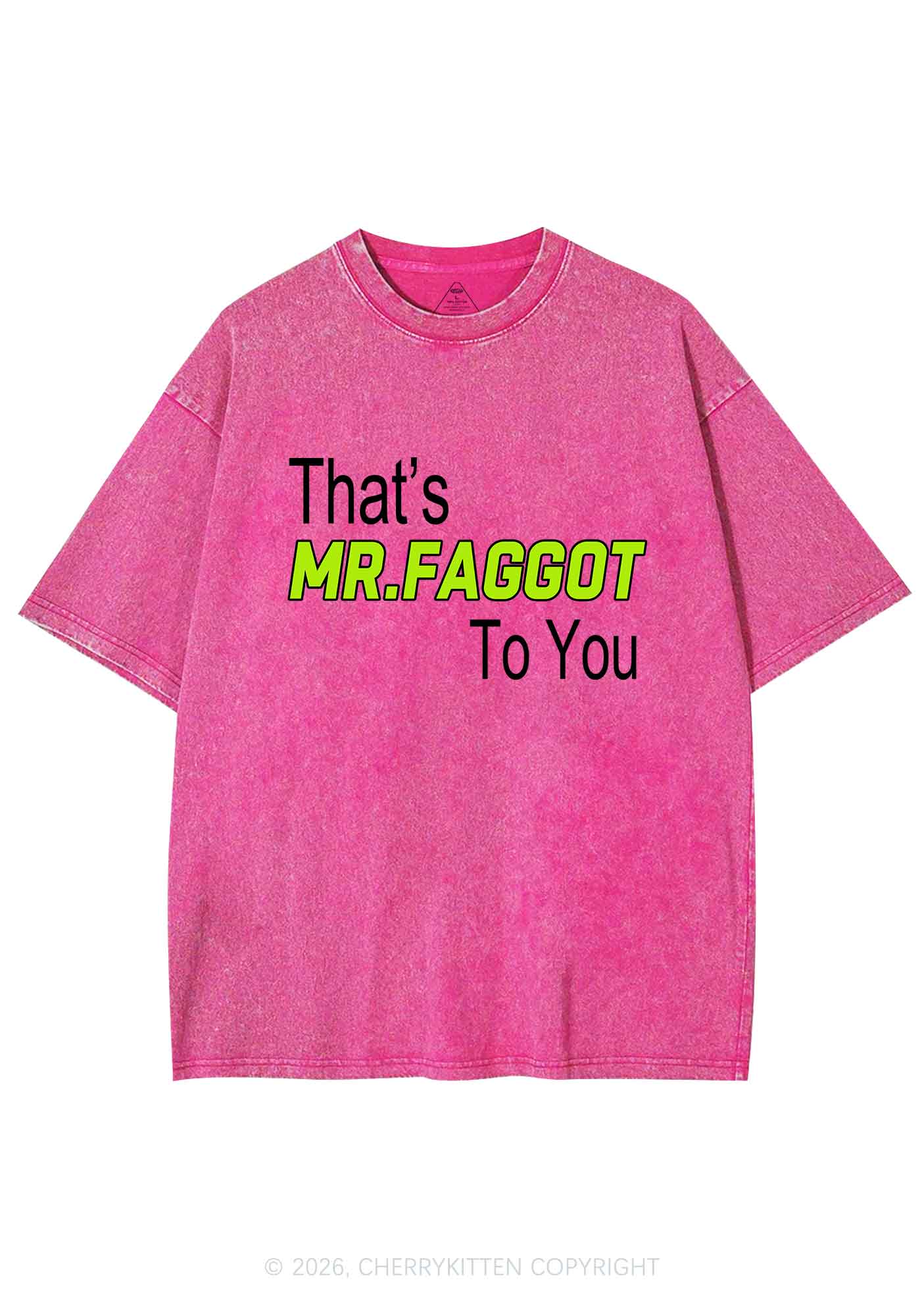 Thats Mr Faggot To You Pride Y2K Shirts Washed Tee Cherrykitten