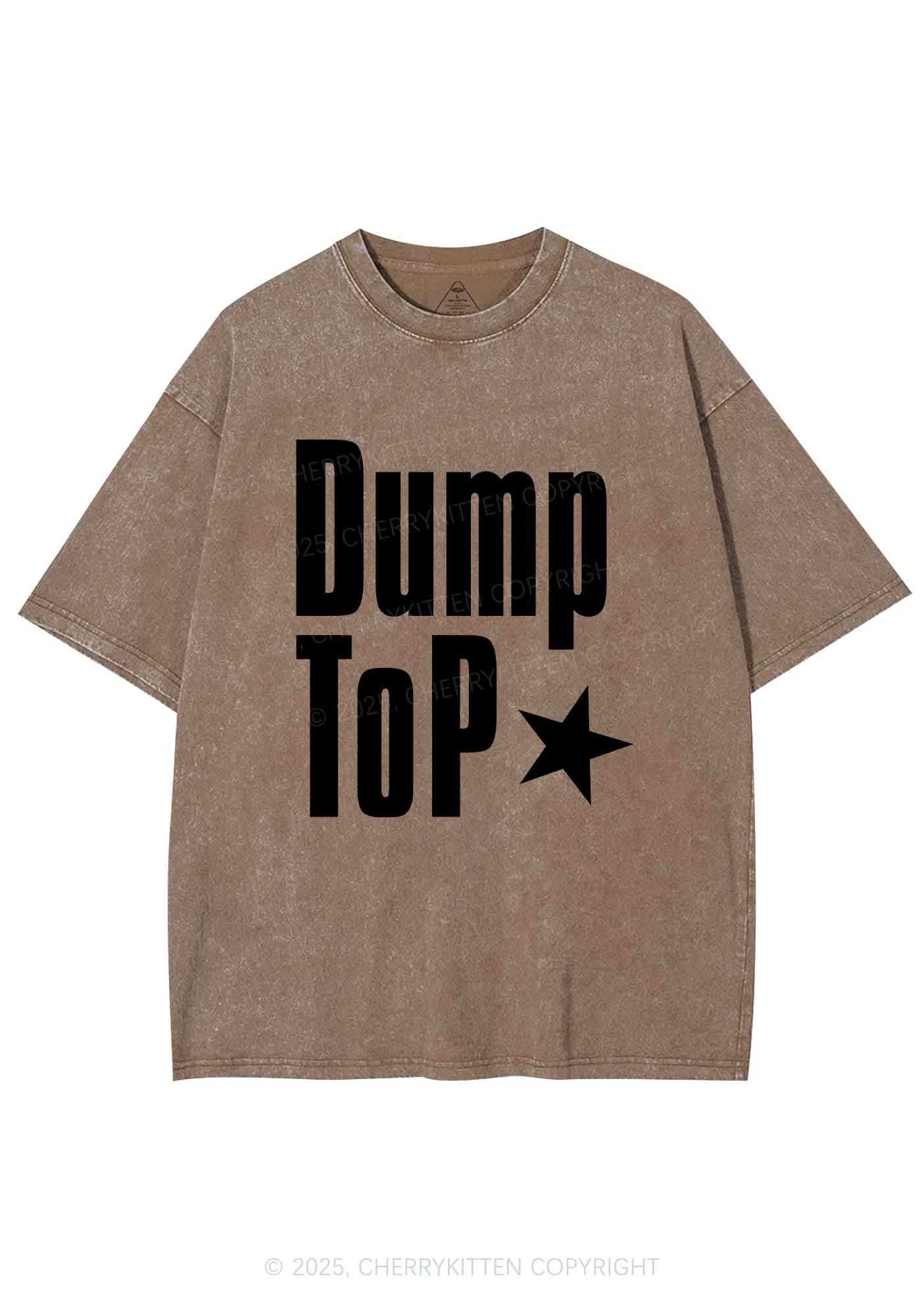 Dump Top Pride Y2K Shirts Washed Tee Cherrykitten
