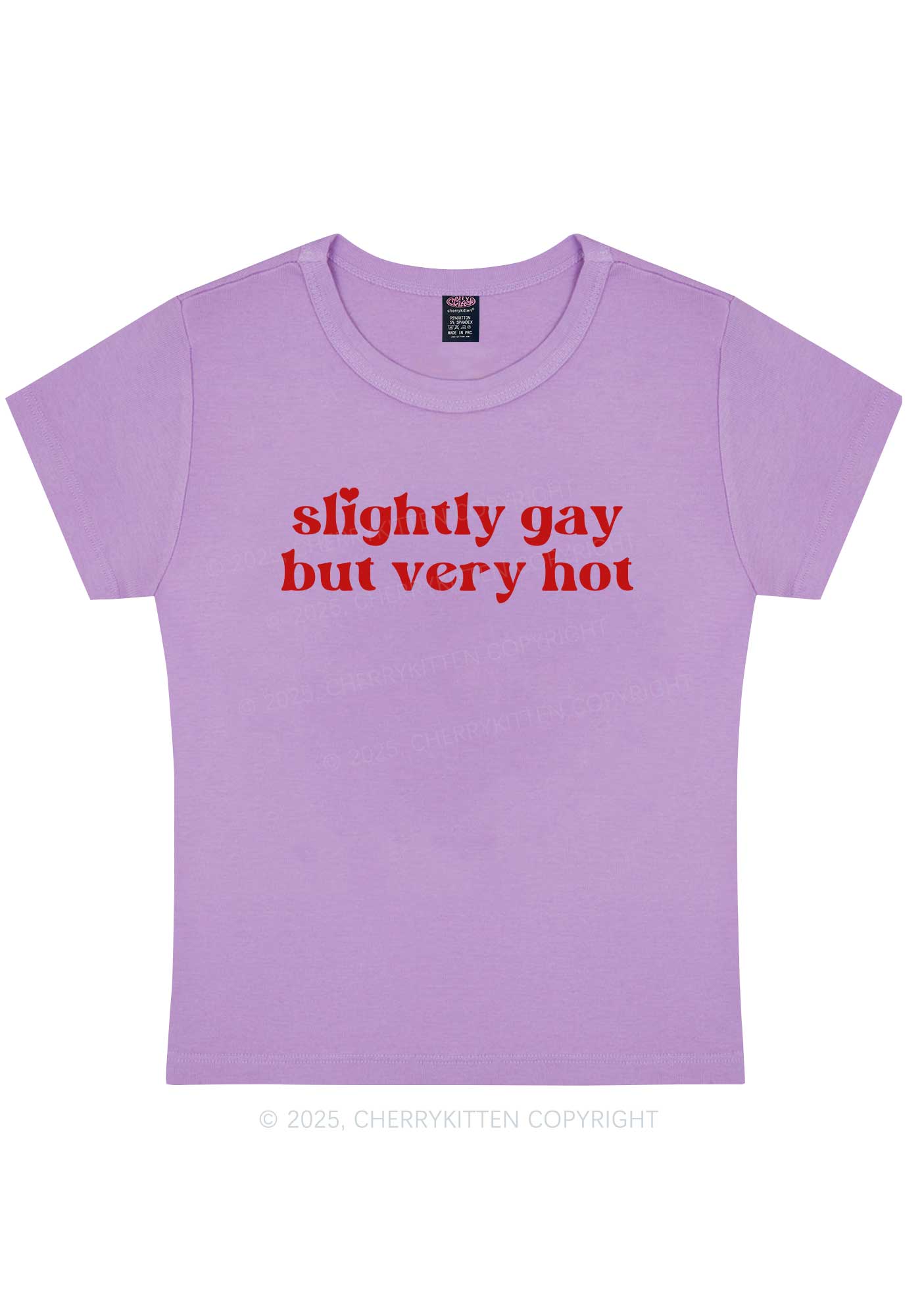 Slightly Gay But Very Hot Pride Y2K Baby Tee Cherrykitten