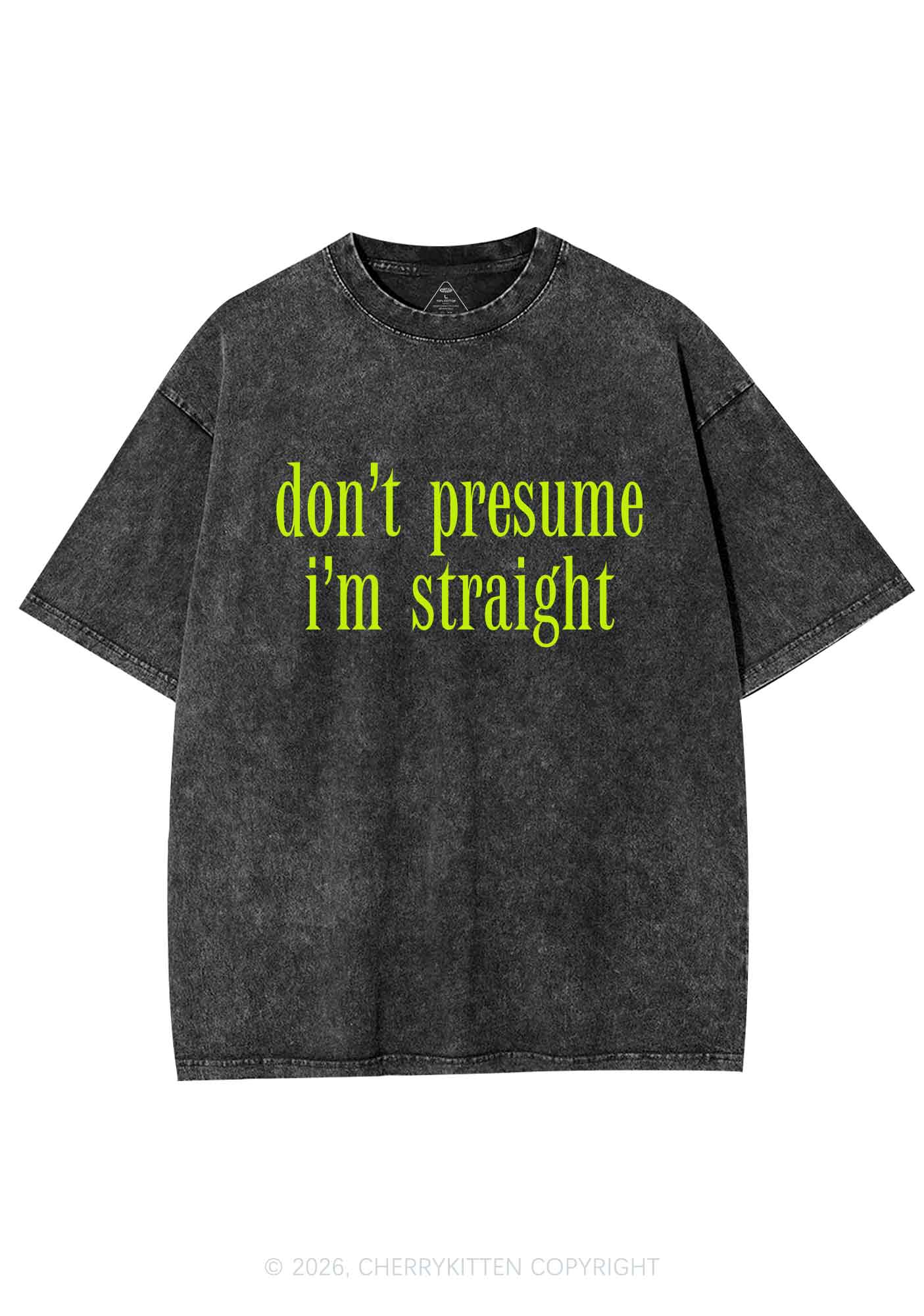 Dont Presume Im Straight Pride Y2K Shirts Washed Tee Cherrykitten