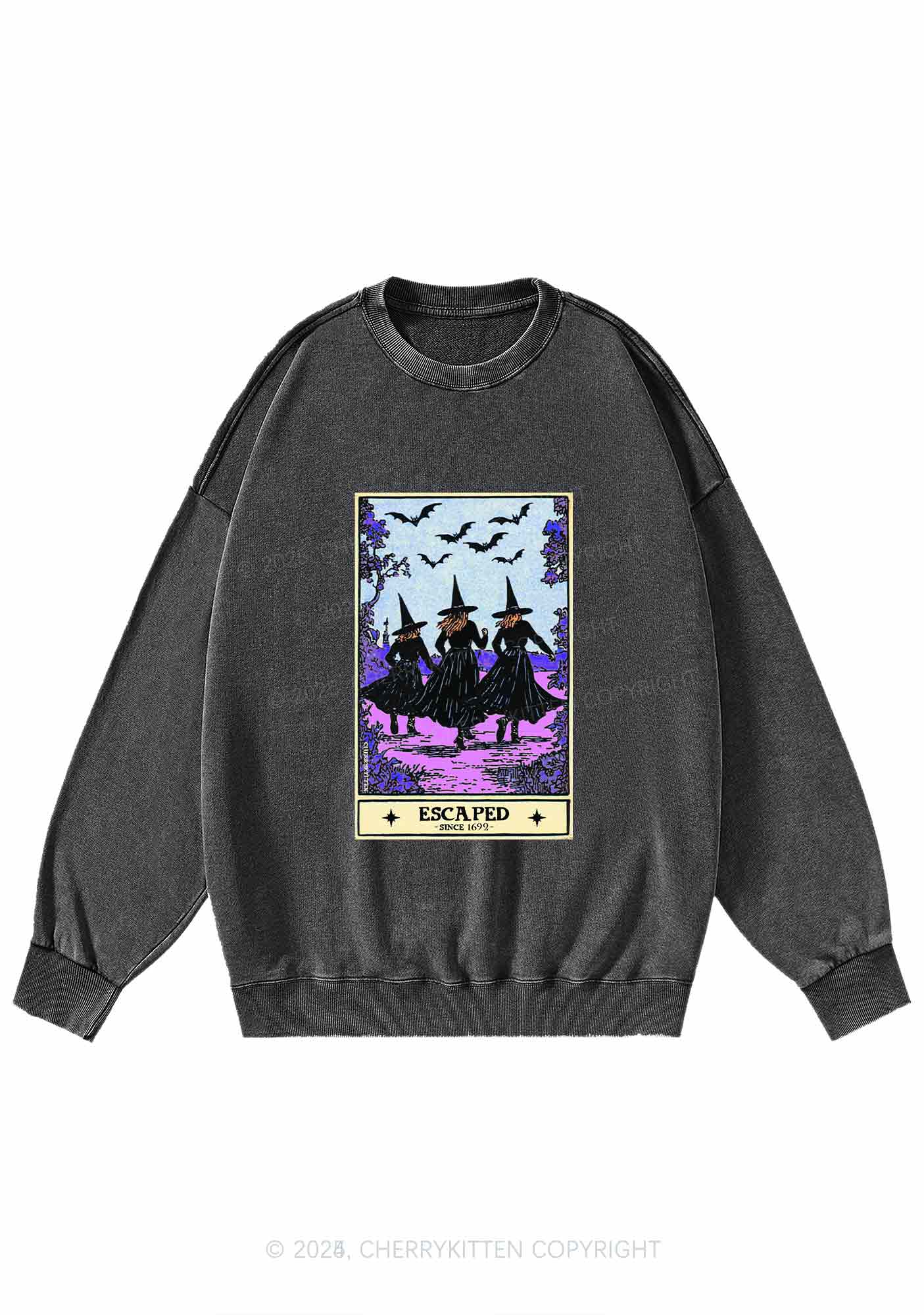 Halloween Escaped Witch Y2K Washed Sweatshirts Cherrykitten