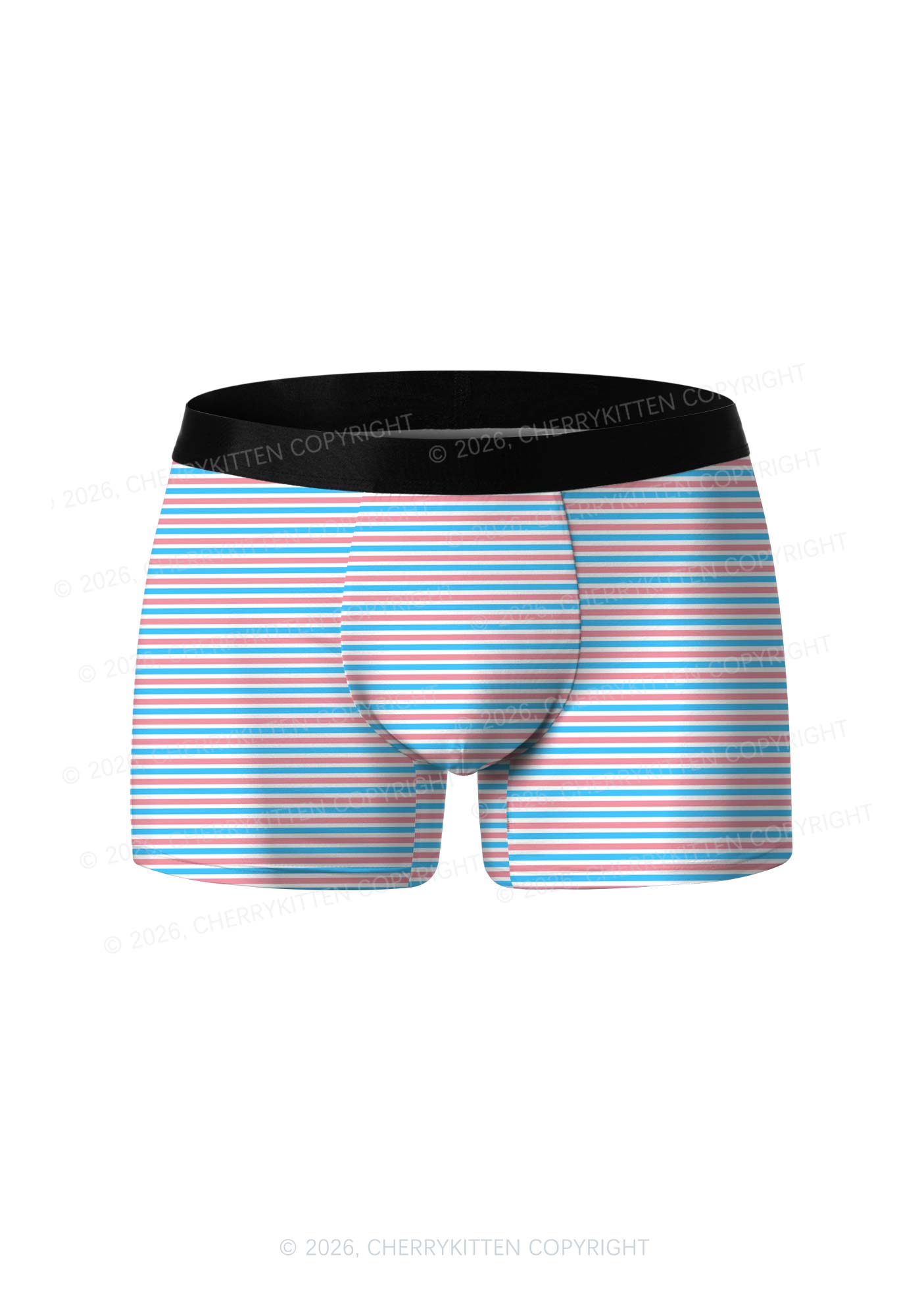 Trans Stripes Pride Y2K Print Men Boxer Briefs Cherrykitten