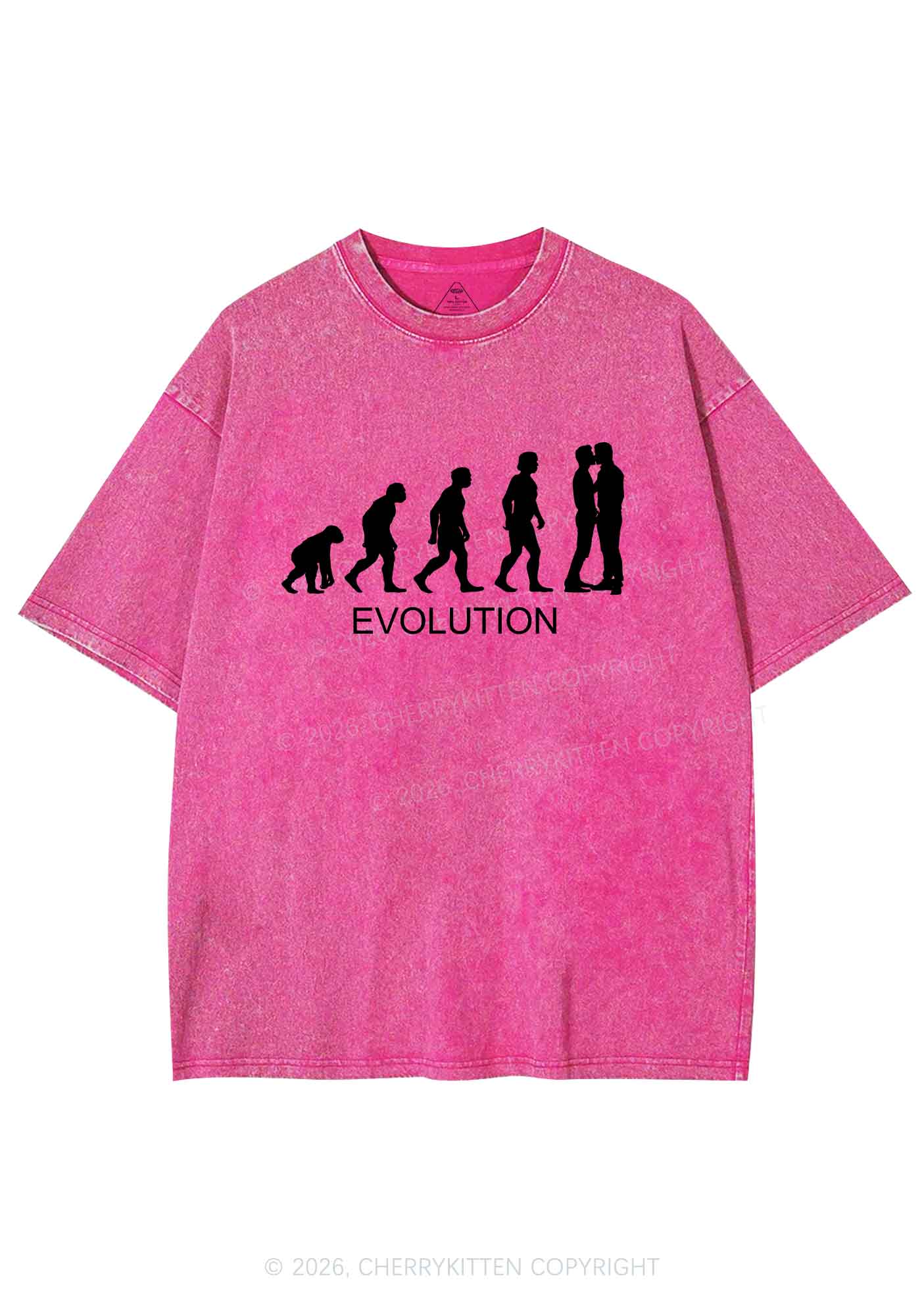 Gay Evolution Pride Y2K Shirts Washed Tee Cherrykitten