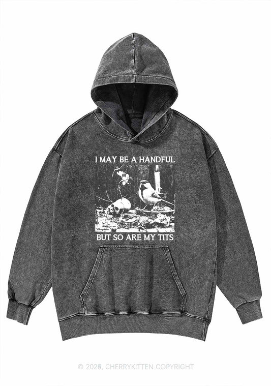 Halloween I May Be A Handful Y2K Washed Hoodie Cherrykitten