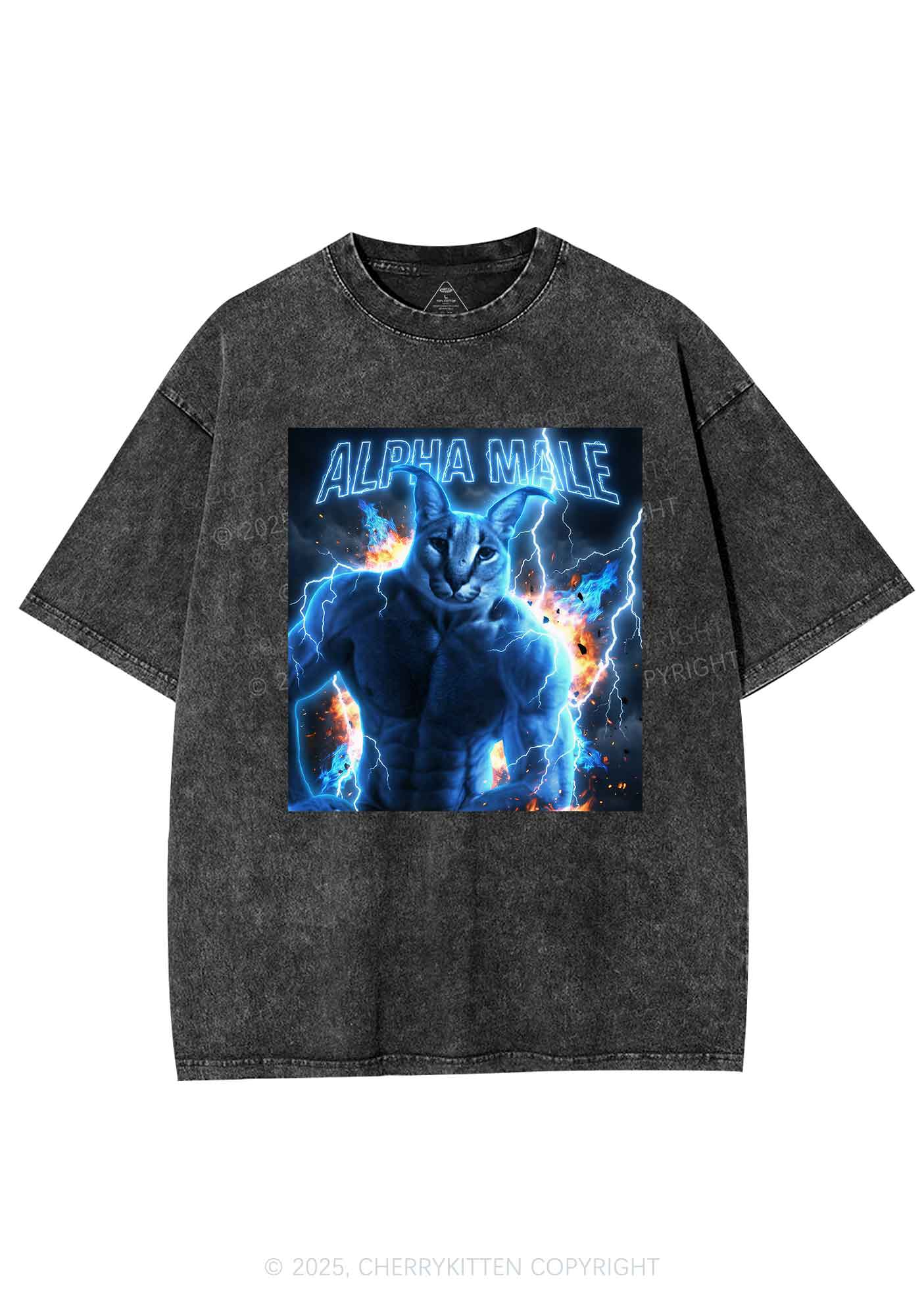 Alpha Male Floppa Y2K Shirts Washed Tee Cherrykitten