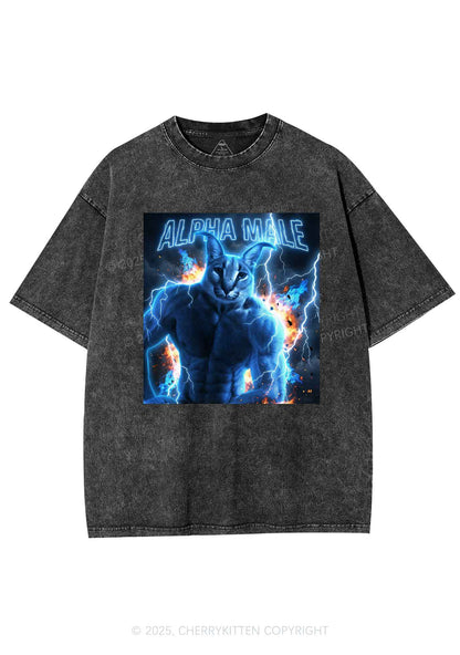 Alpha Male Floppa Y2K Shirts Washed Tee Cherrykitten