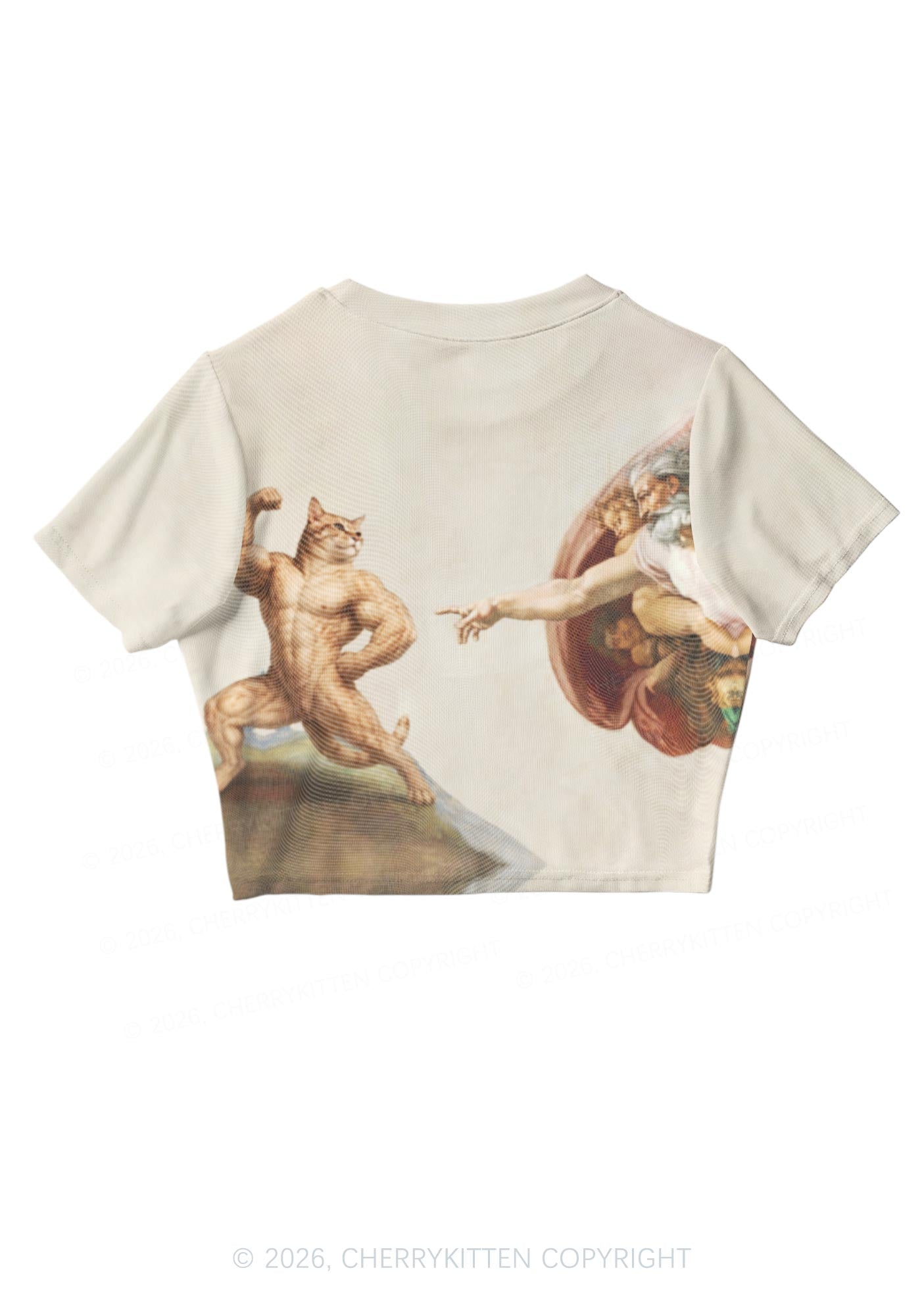 Gym Cat God Touch Y2K Mesh Crop Top Cherrykitten