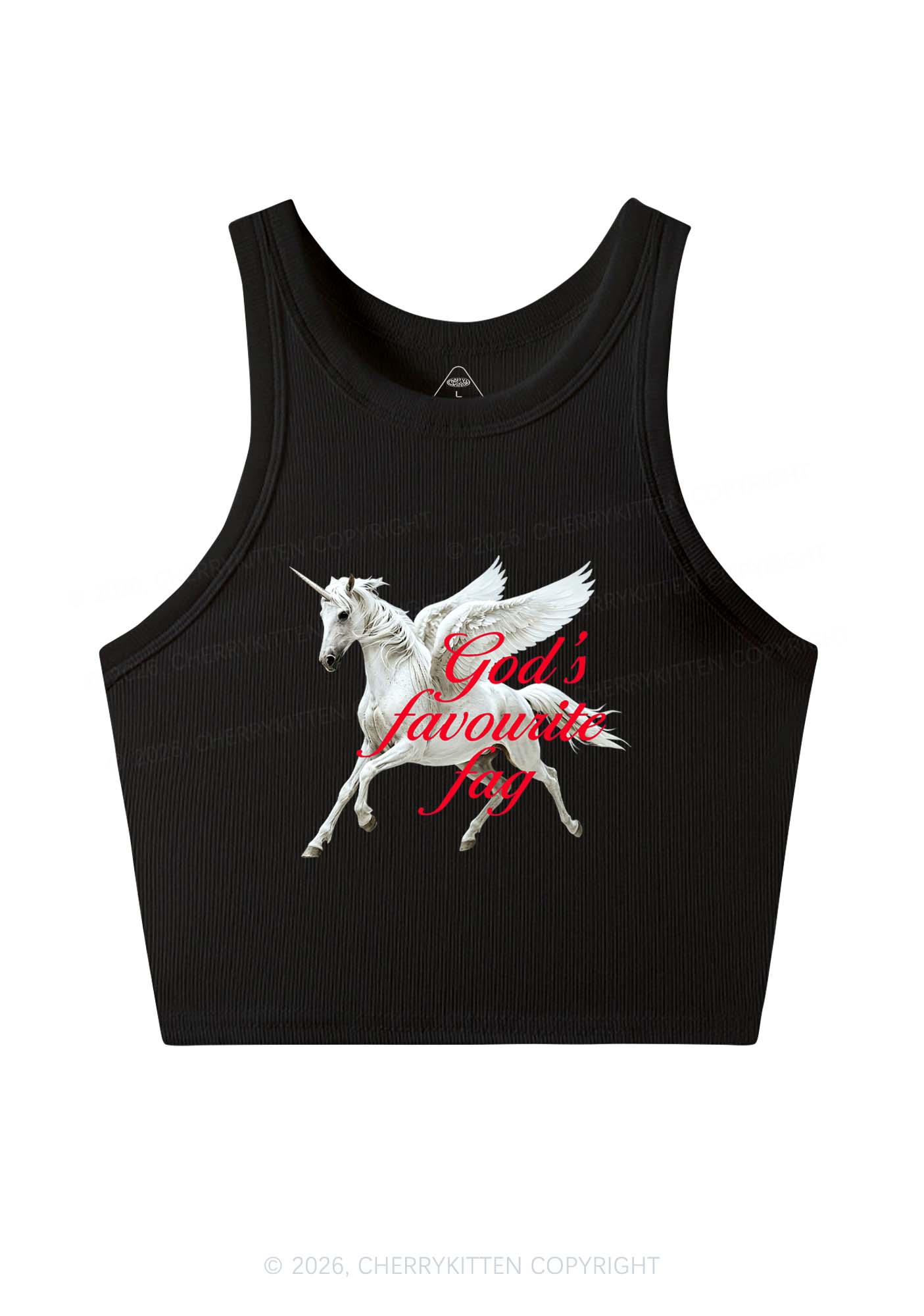 Gods Favourite Fag Pride Y2K Crop Tank Top Cherrykitten