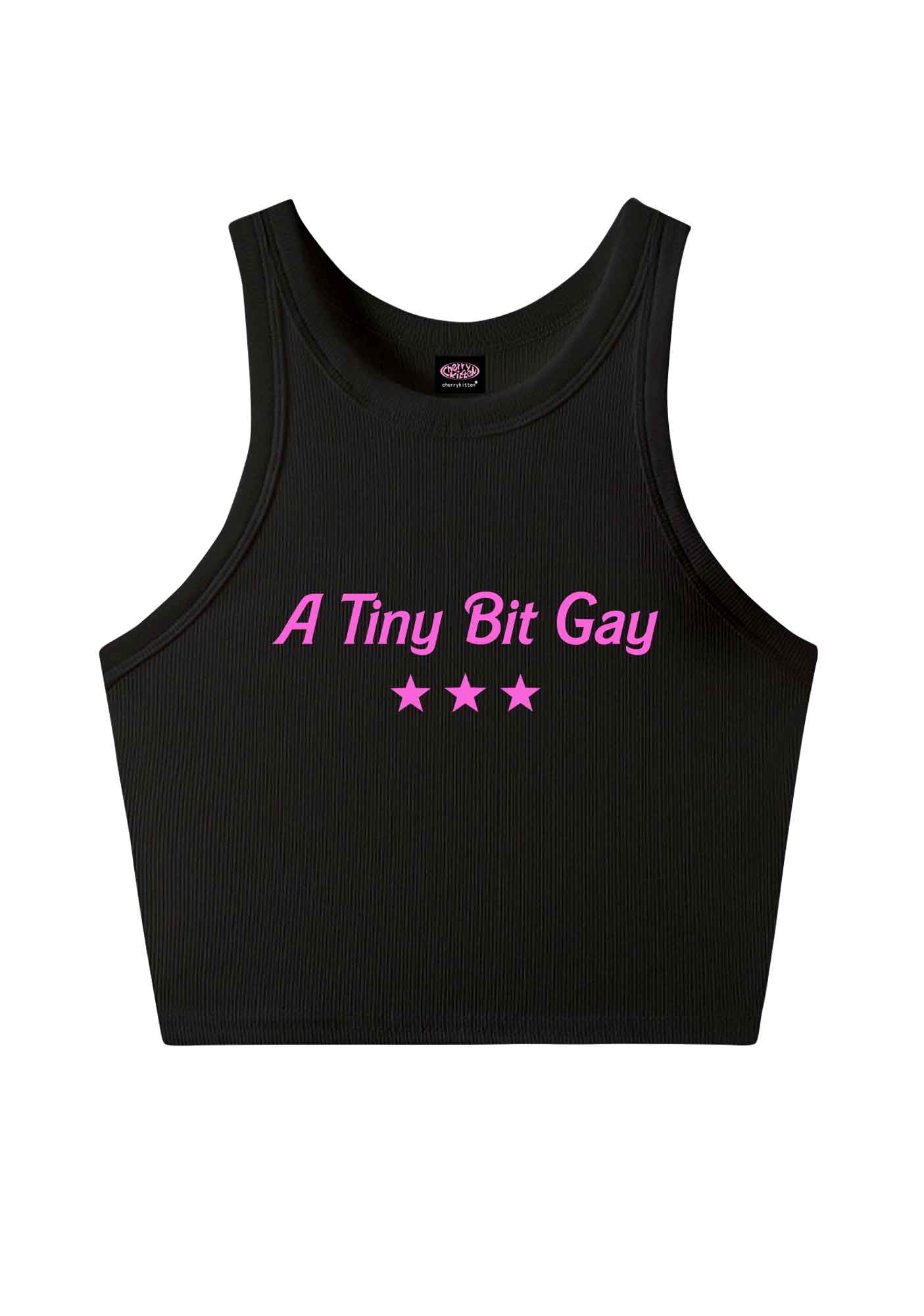 A Tiny Bit Gay Pride Y2K Crop Tank Top Cherrykitten