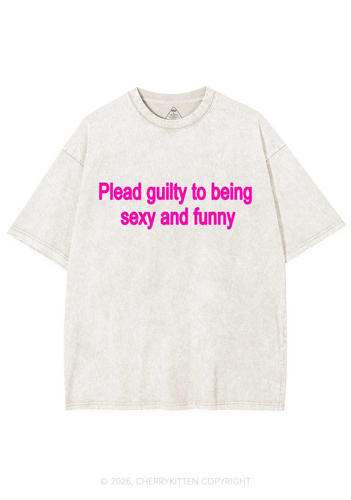 Plead Guilty To Being Funny Y2K Shirts Washed Tee Cherrykitten