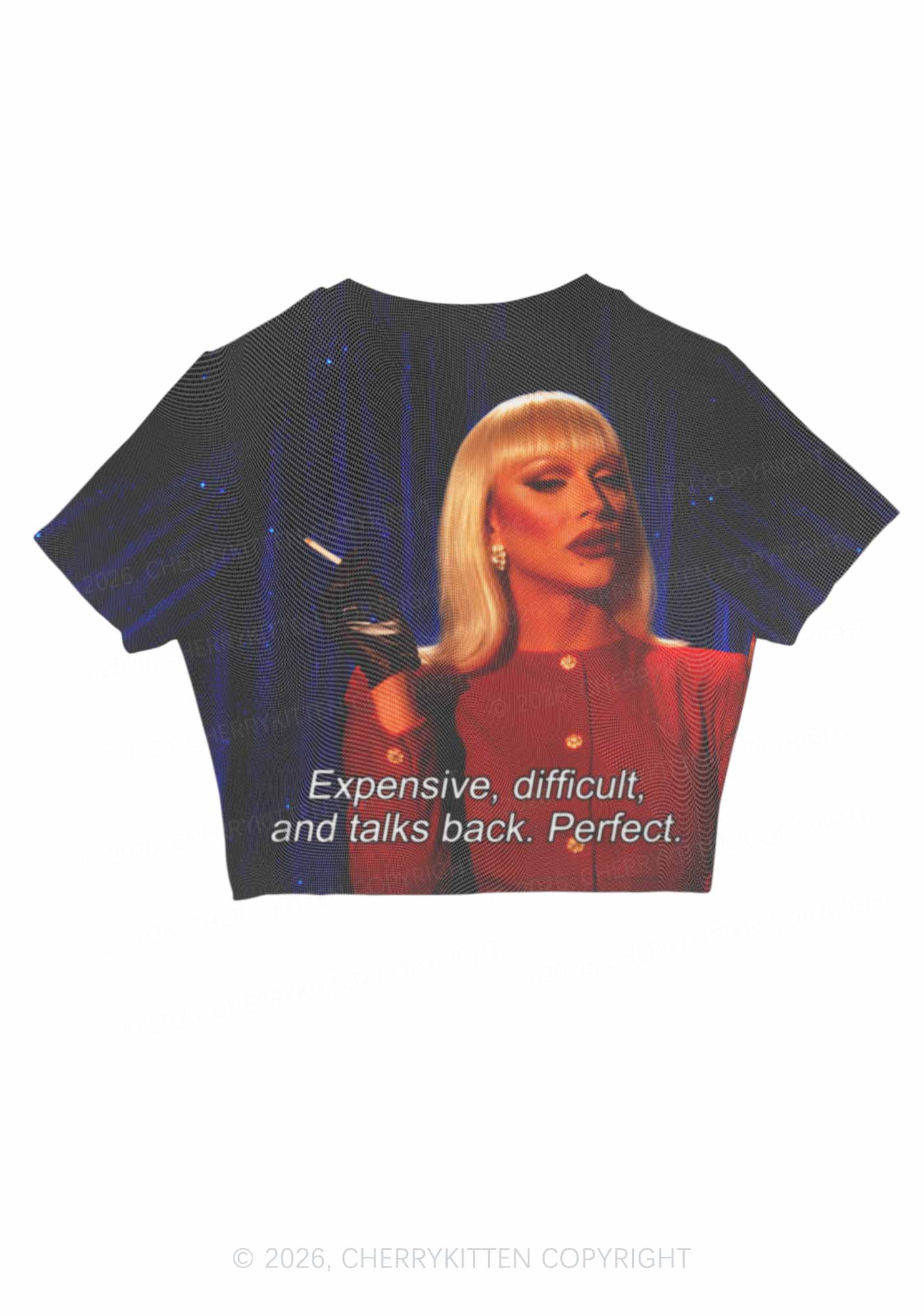Expensive Difficult And Talks Back Y2K Mesh Crop Top Cherrykitten