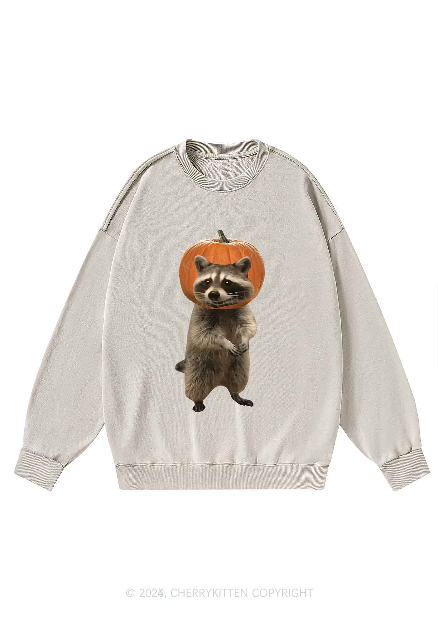Halloween Silly Raccoon Y2K Washed Sweatshirts Cherrykitten