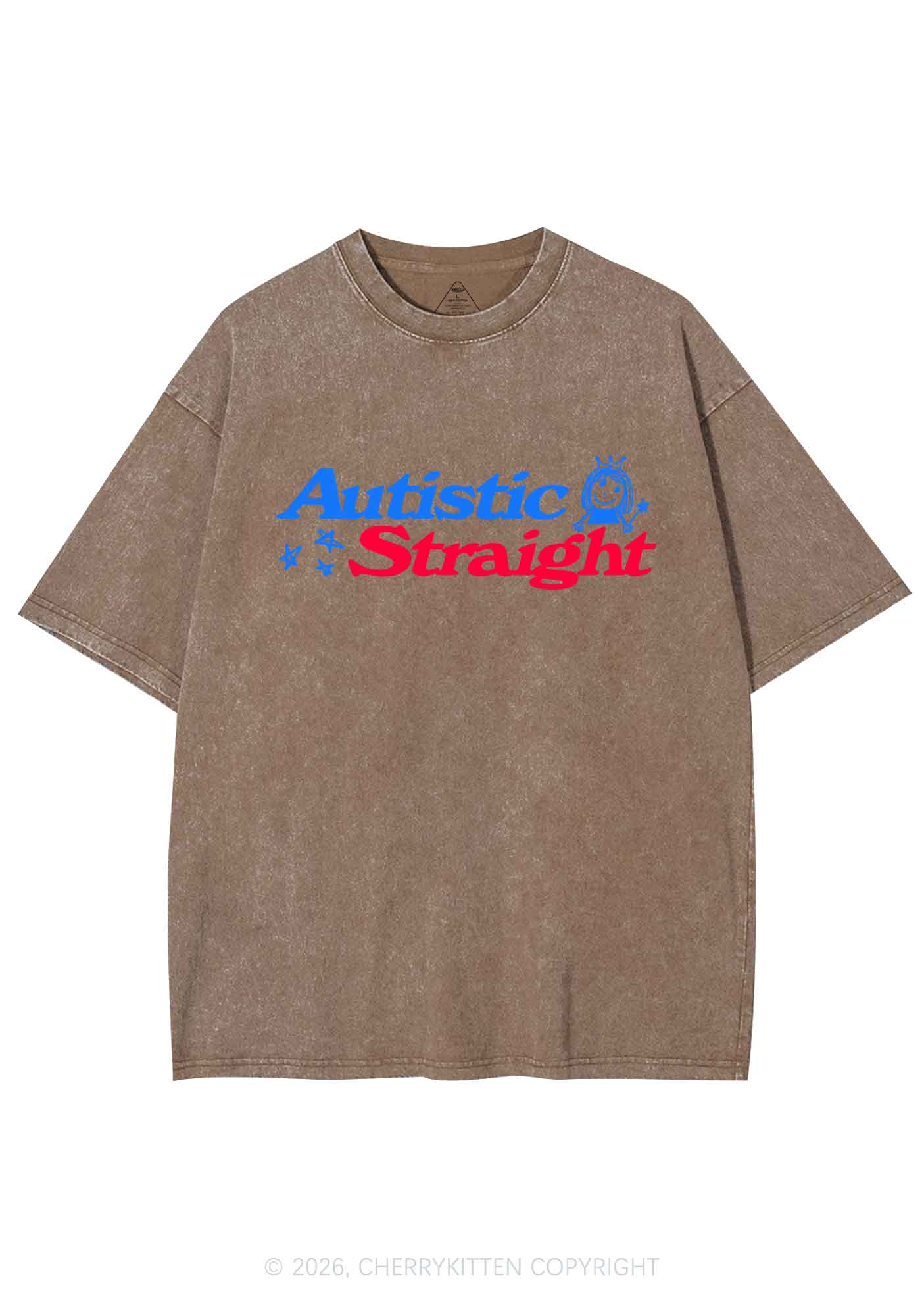 Autistic Straight Pride Y2K Shirts Washed Tee Cherrykitten