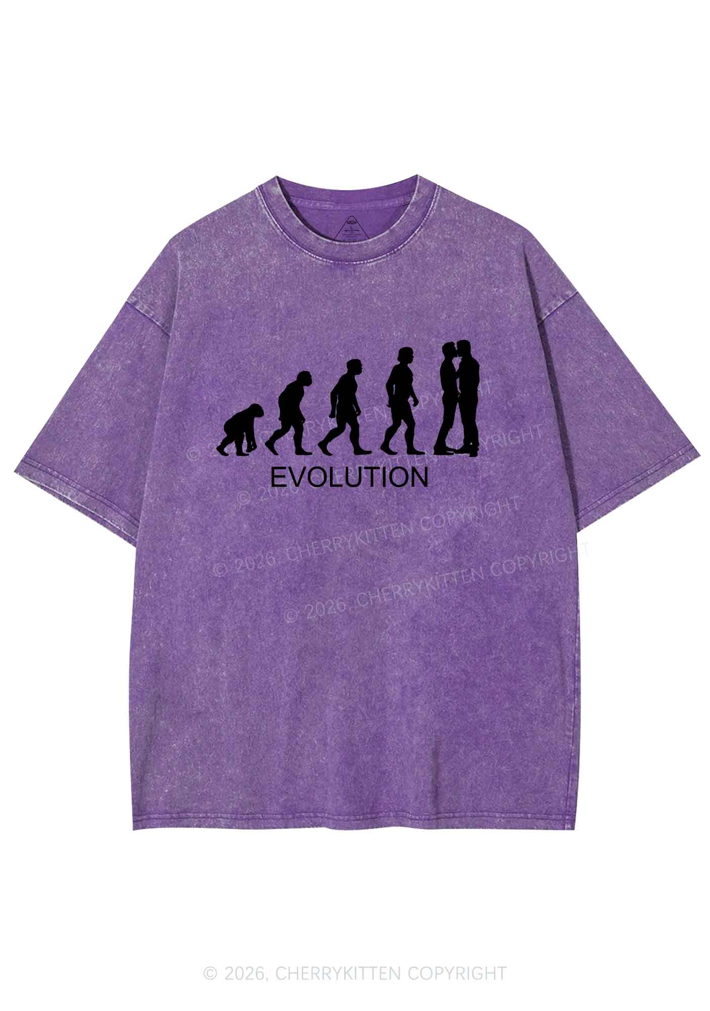 Gay Evolution Pride Y2K Shirts Washed Tee Cherrykitten