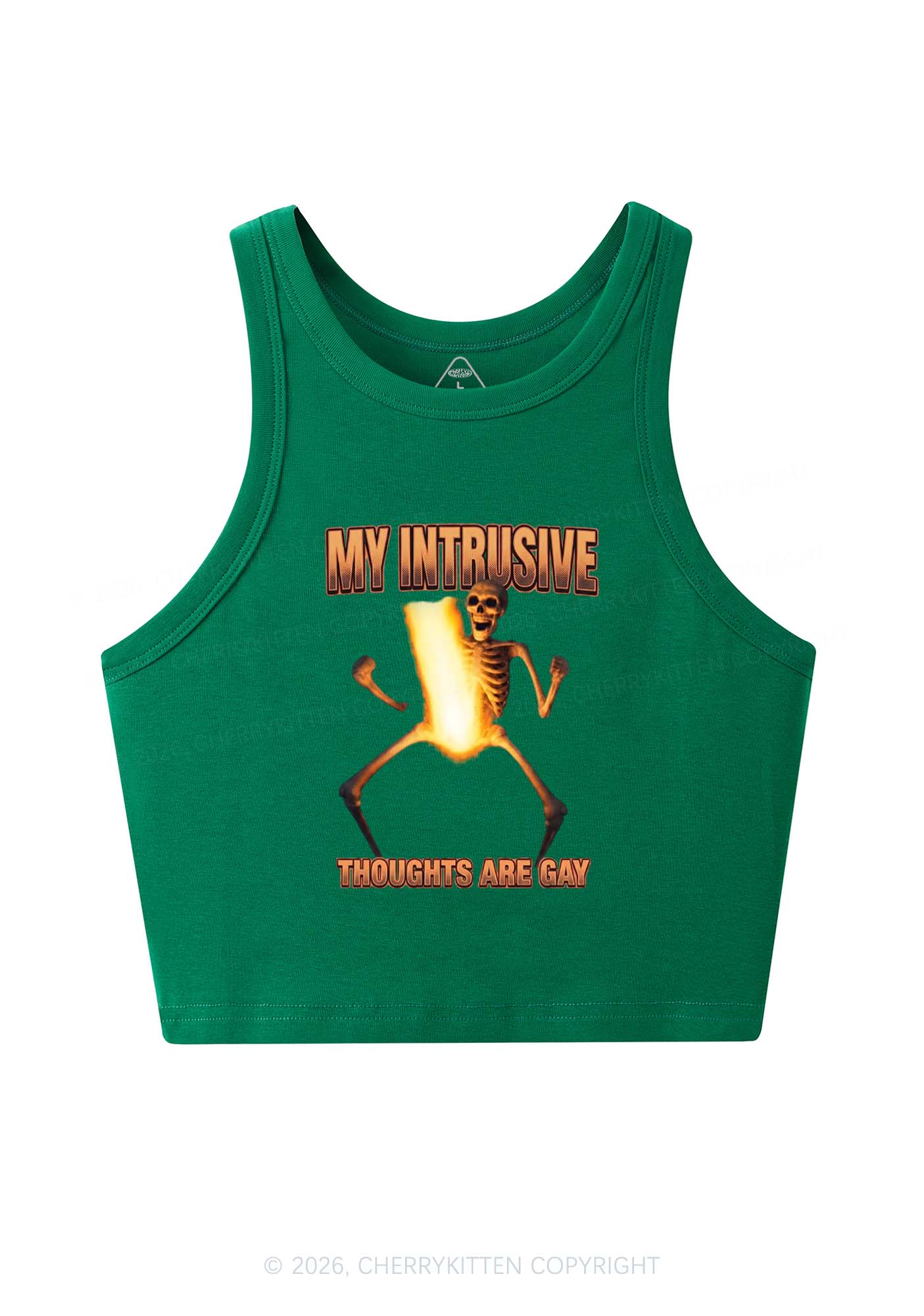 My Intrusive Thoughts Are Gay Pride Y2K Crop Tank Top Cherrykitten